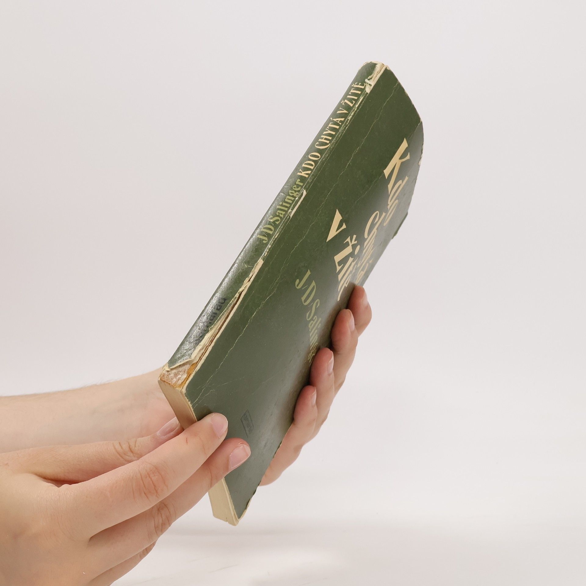 J. D. Salinger Kdo chytá v žitě
