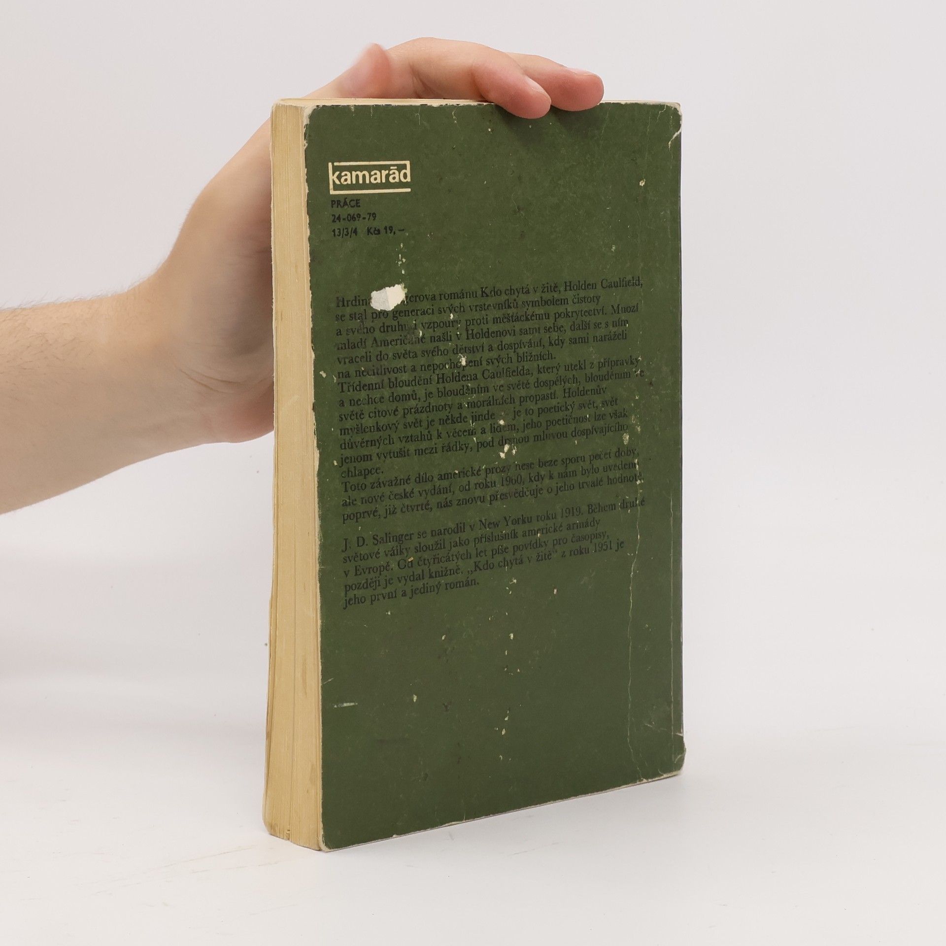 J. D. Salinger Kdo chytá v žitě