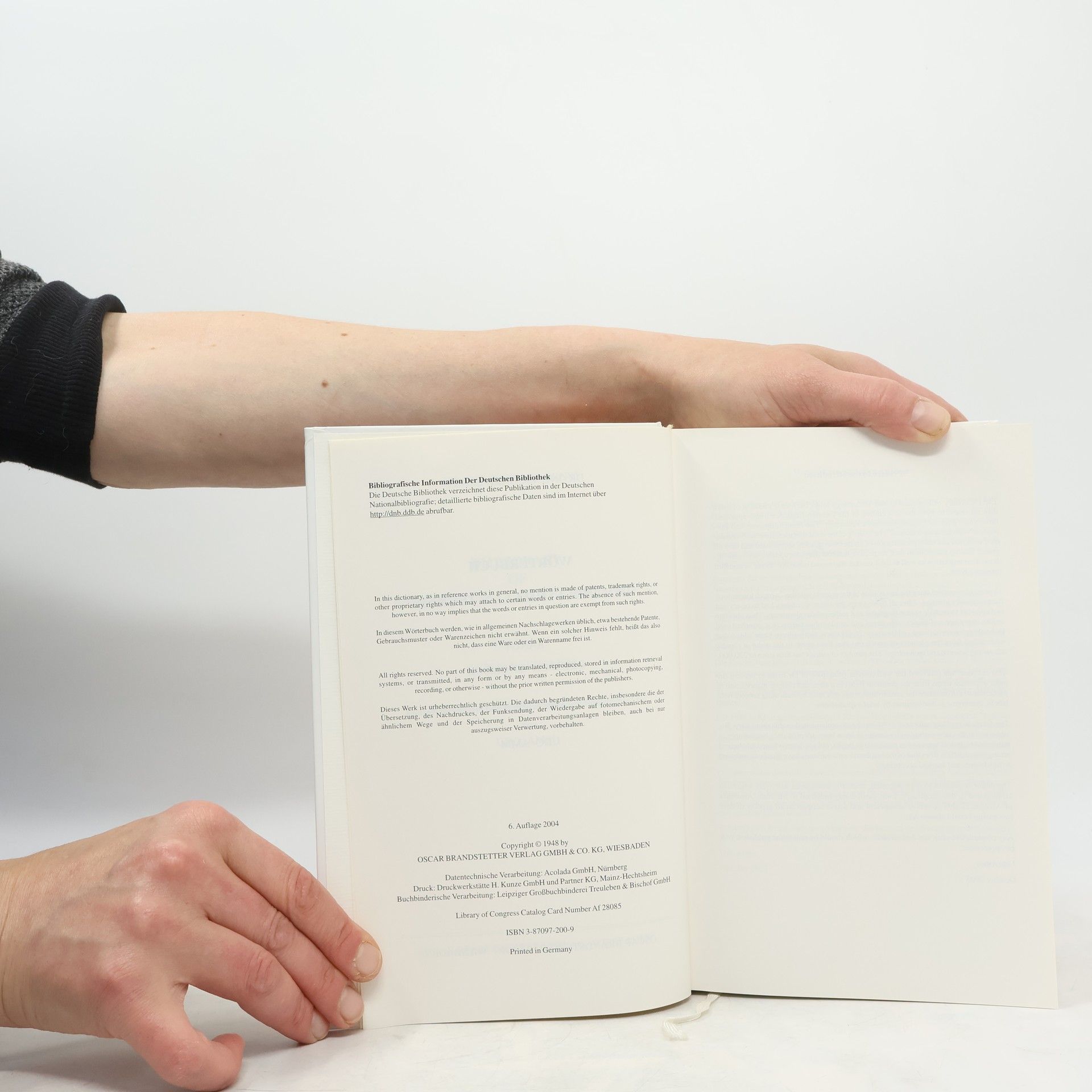 Udo Amm Wörterbuch der industriellen Technik