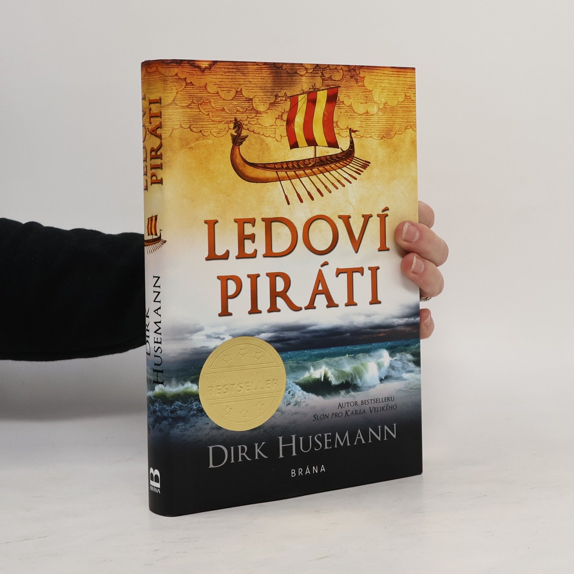 Dirk Husemann Ledoví piráti