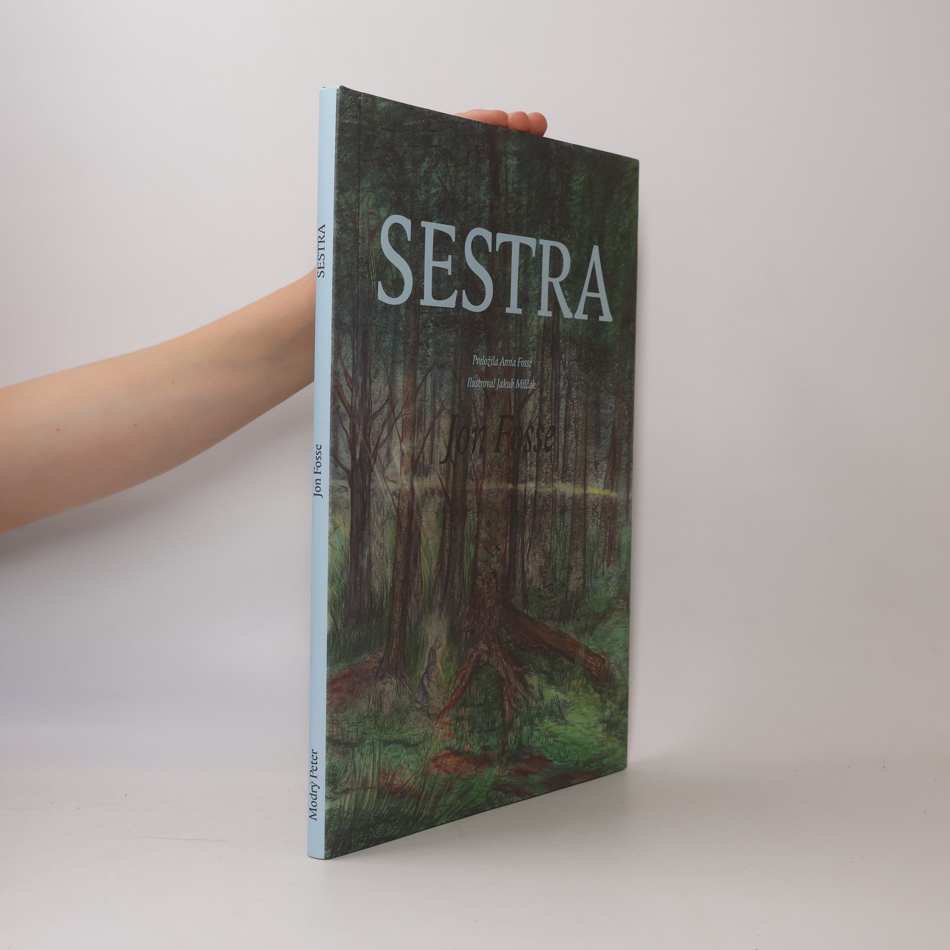 Jon Fosse Sestra