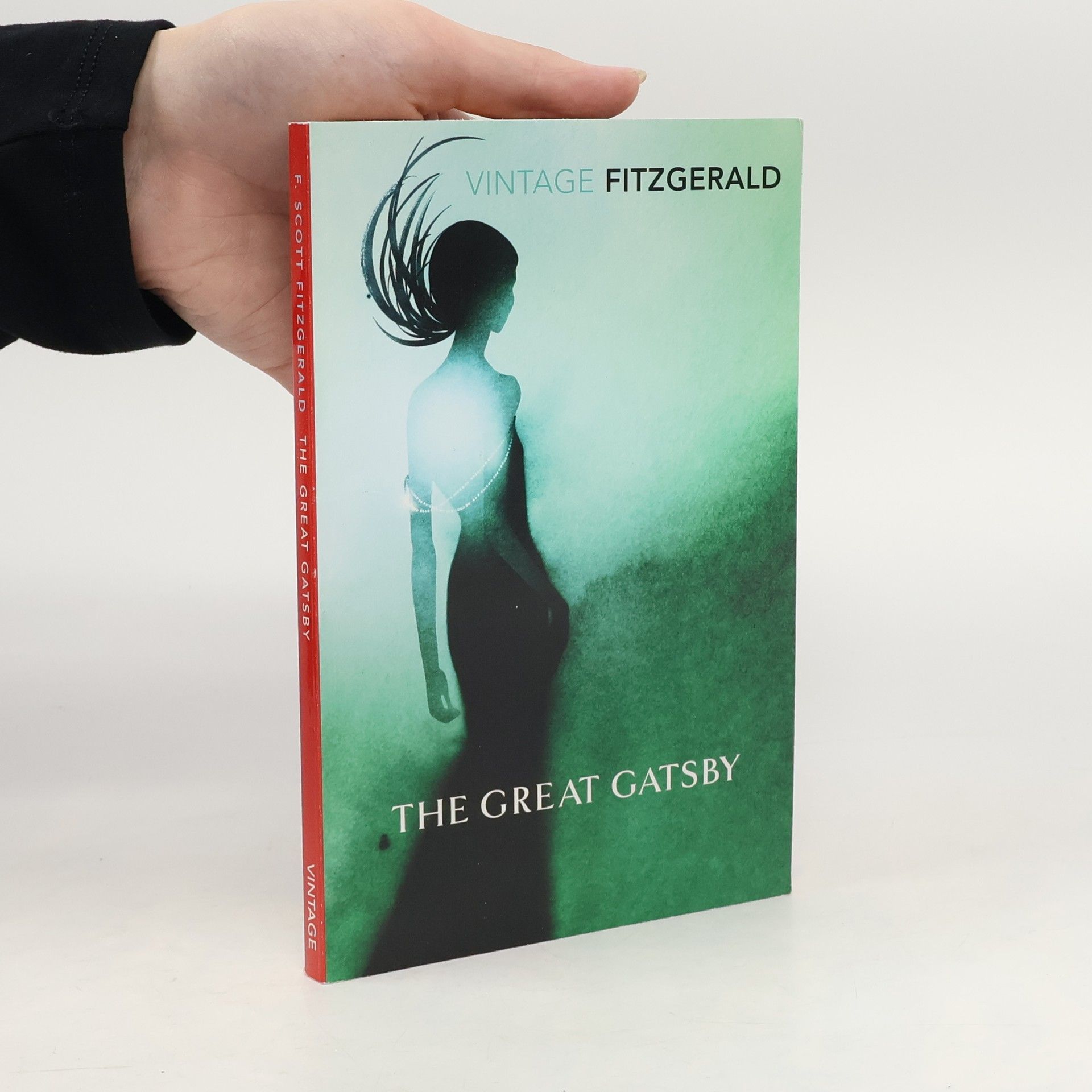 F. Scott Fitzgerald The Great Gatsby