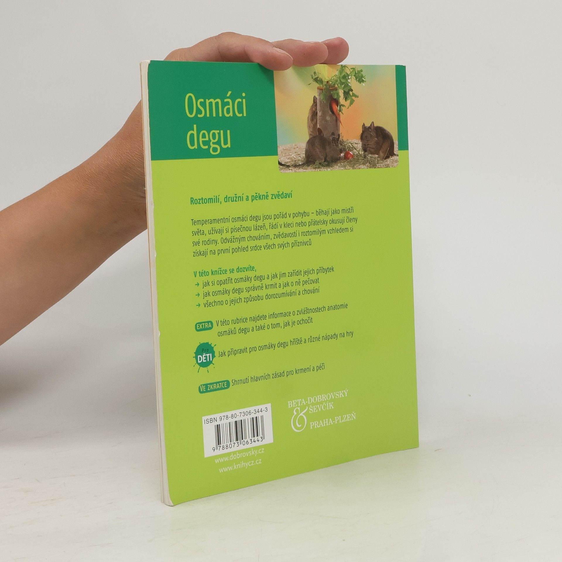 Michael Mettler Osmáci degu : chov & péče, porozumění & zabavení