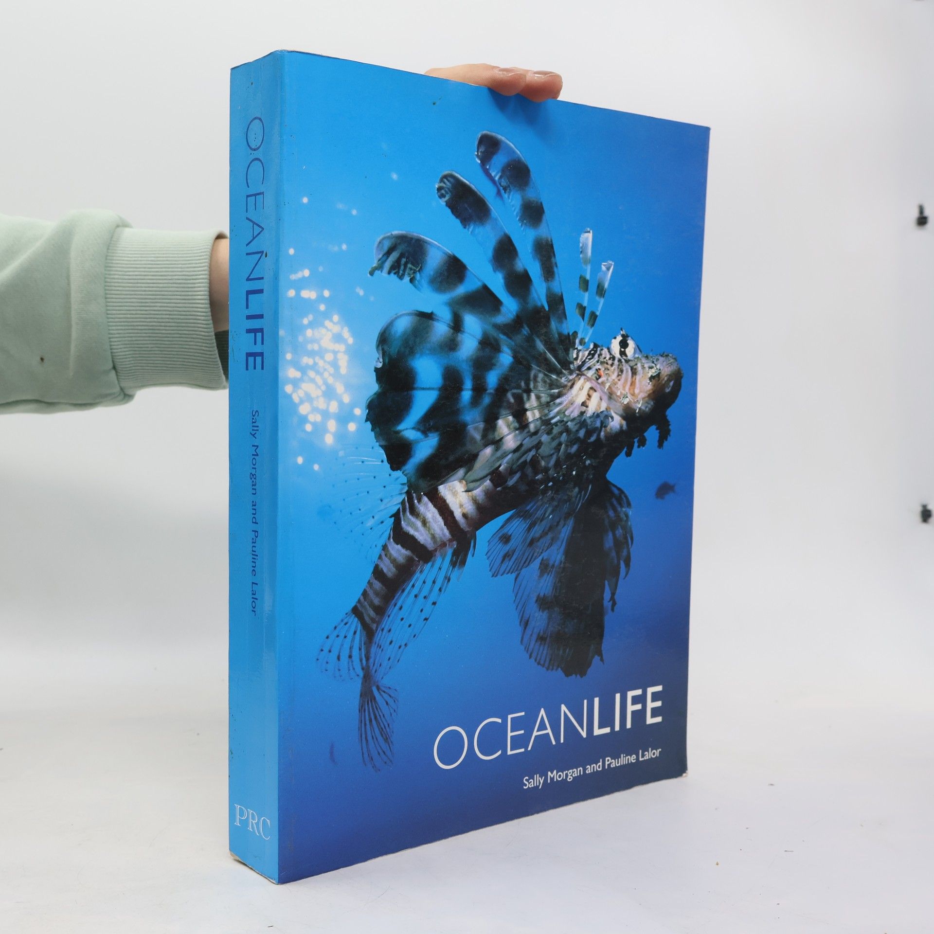 Pauline Lalor Ocean Life