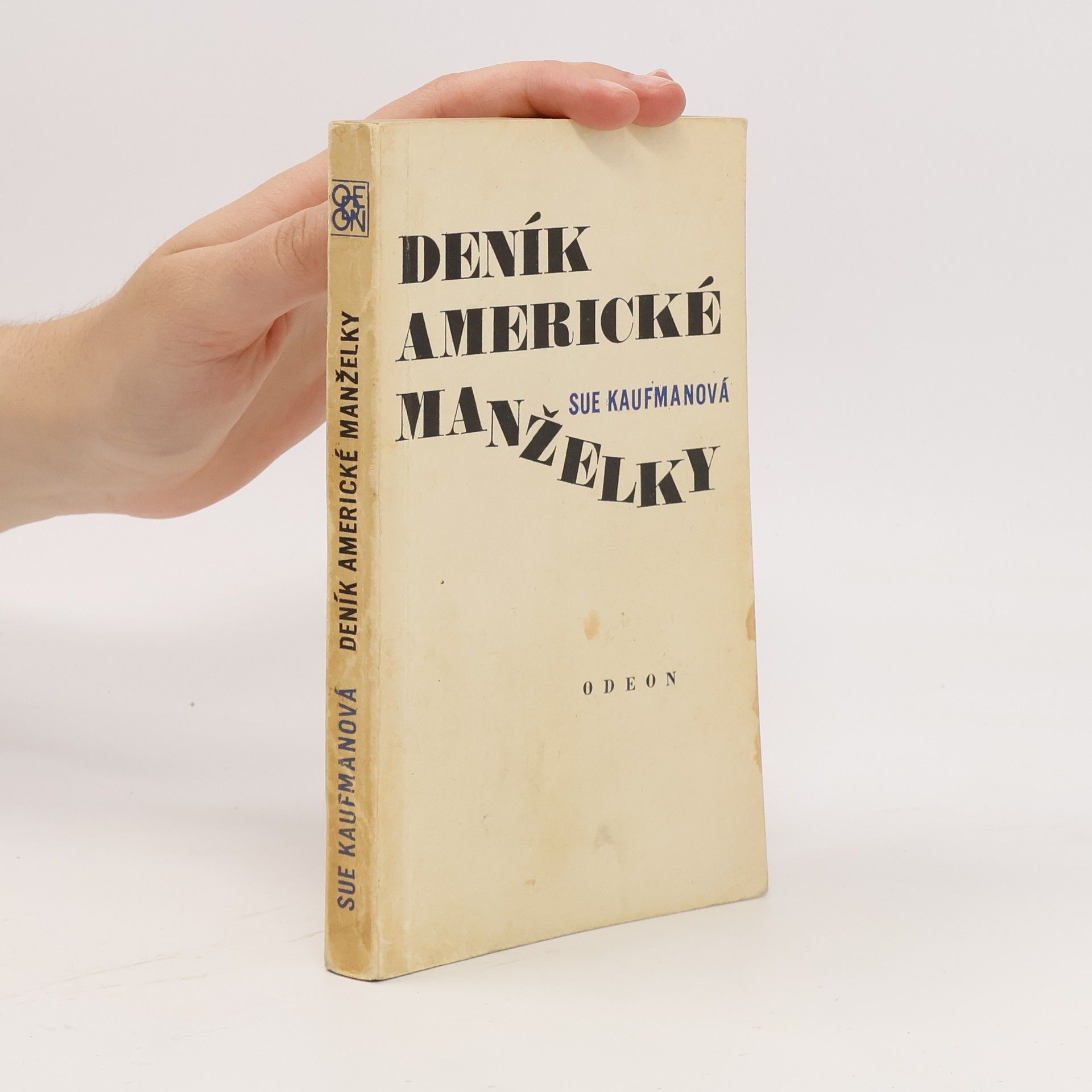 Sue Kaufman Deník americké manželky