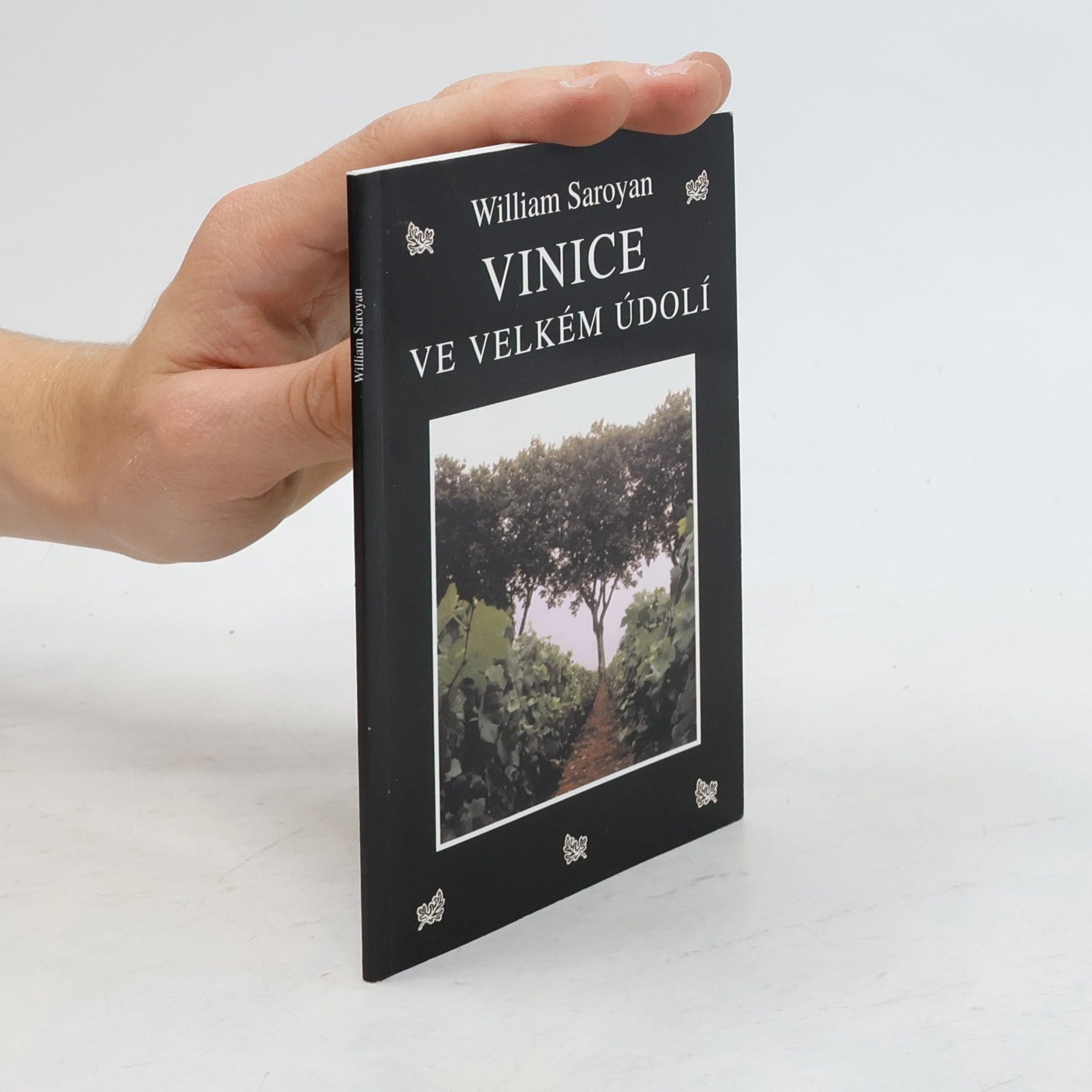Zdeněk Urbánek Vinice ve velkém údolí