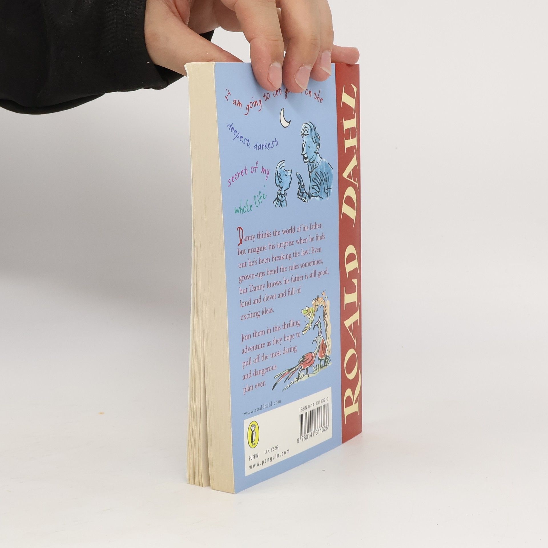 Quentin Blake Danny the Champion of the World (Puffin Fiction)