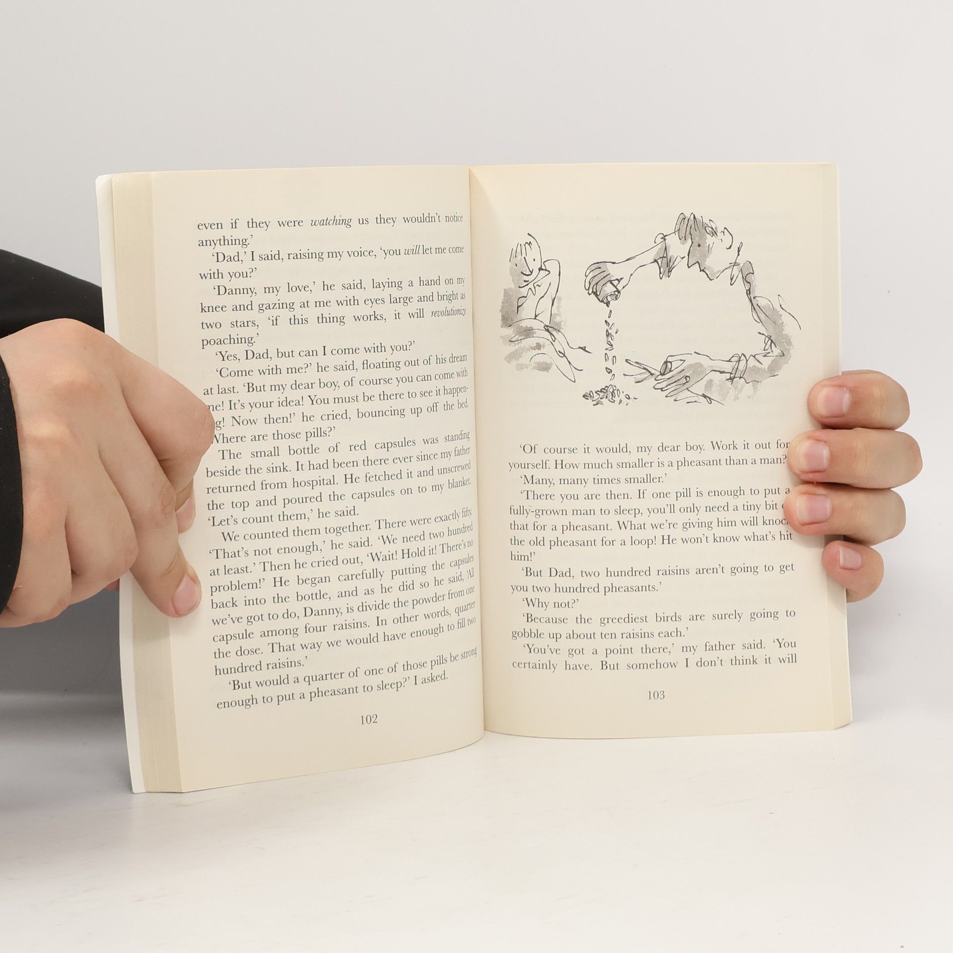 Quentin Blake Danny the Champion of the World (Puffin Fiction)