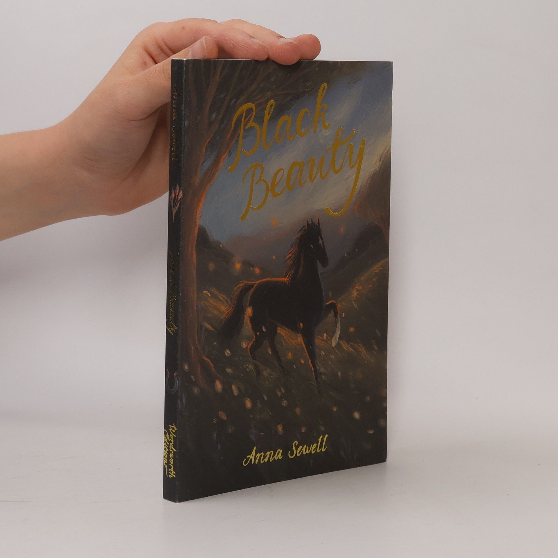 Anna Sewell Black Beauty