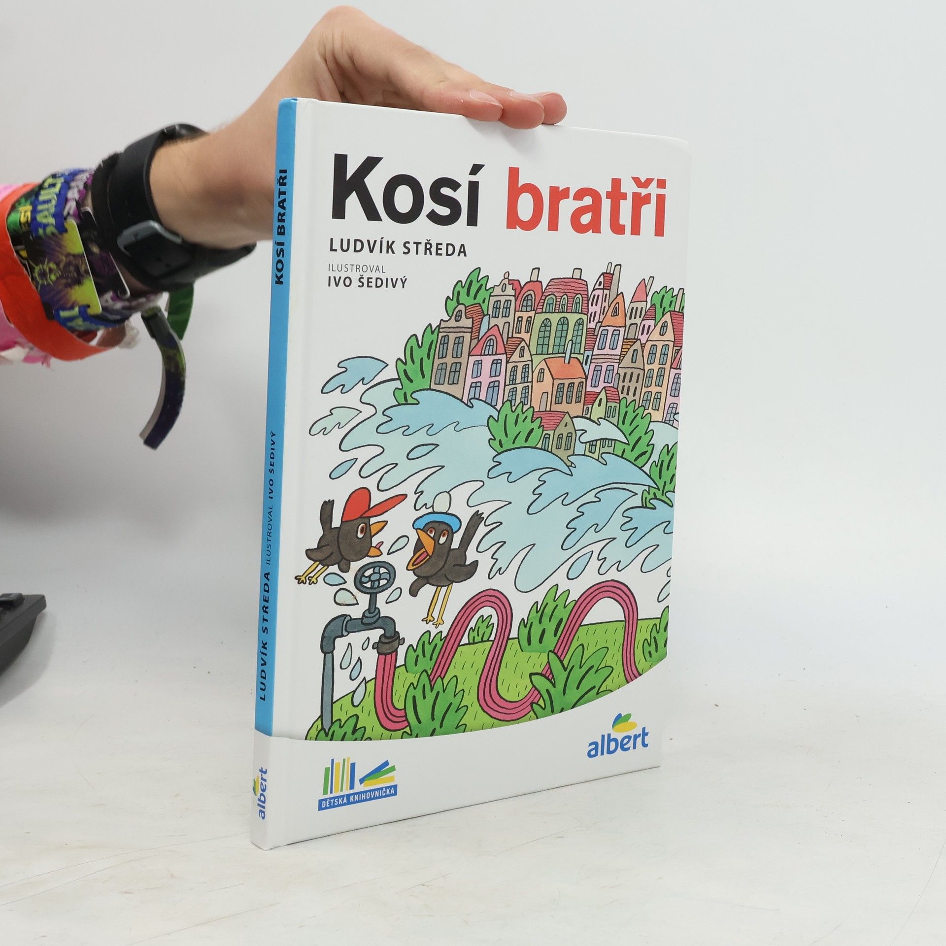 Ludvík Středa Kosí bratři