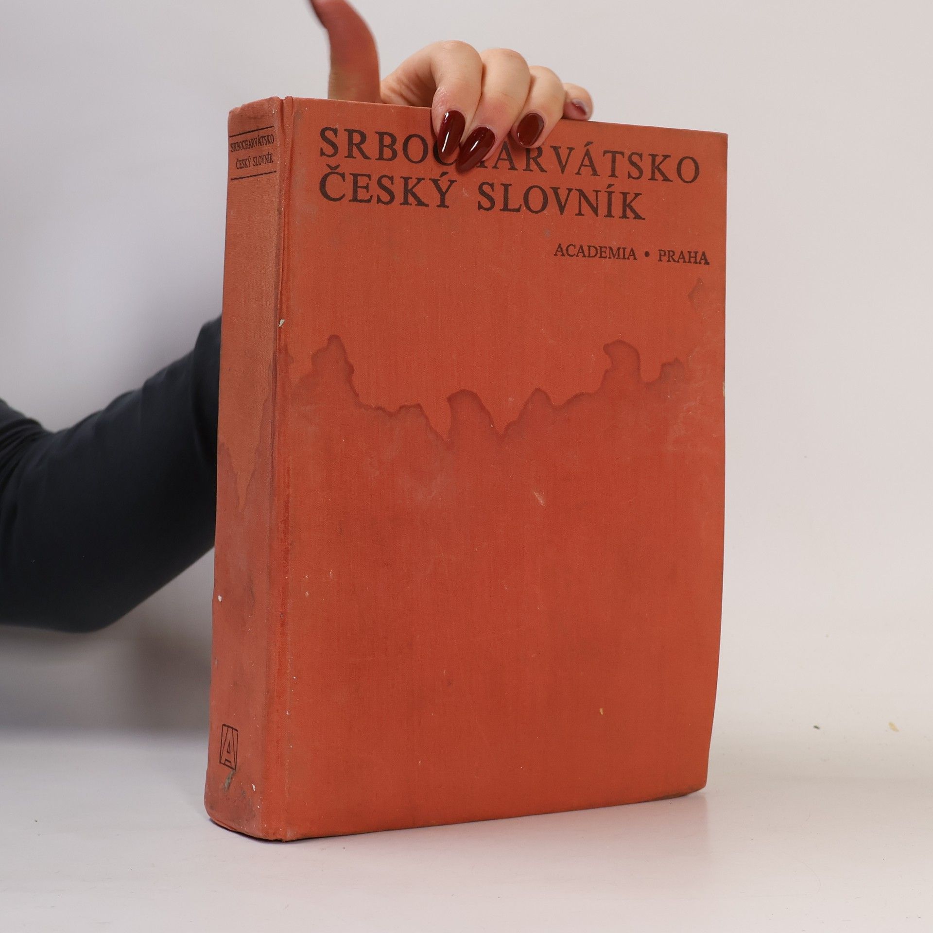Srbocharvátsko-český slovník