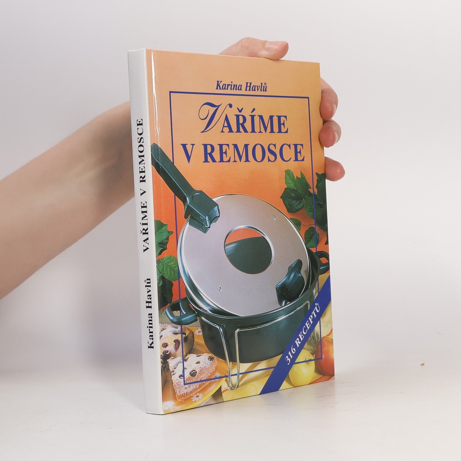 Karina Havlů Vaříme v remosce : 316 receptů