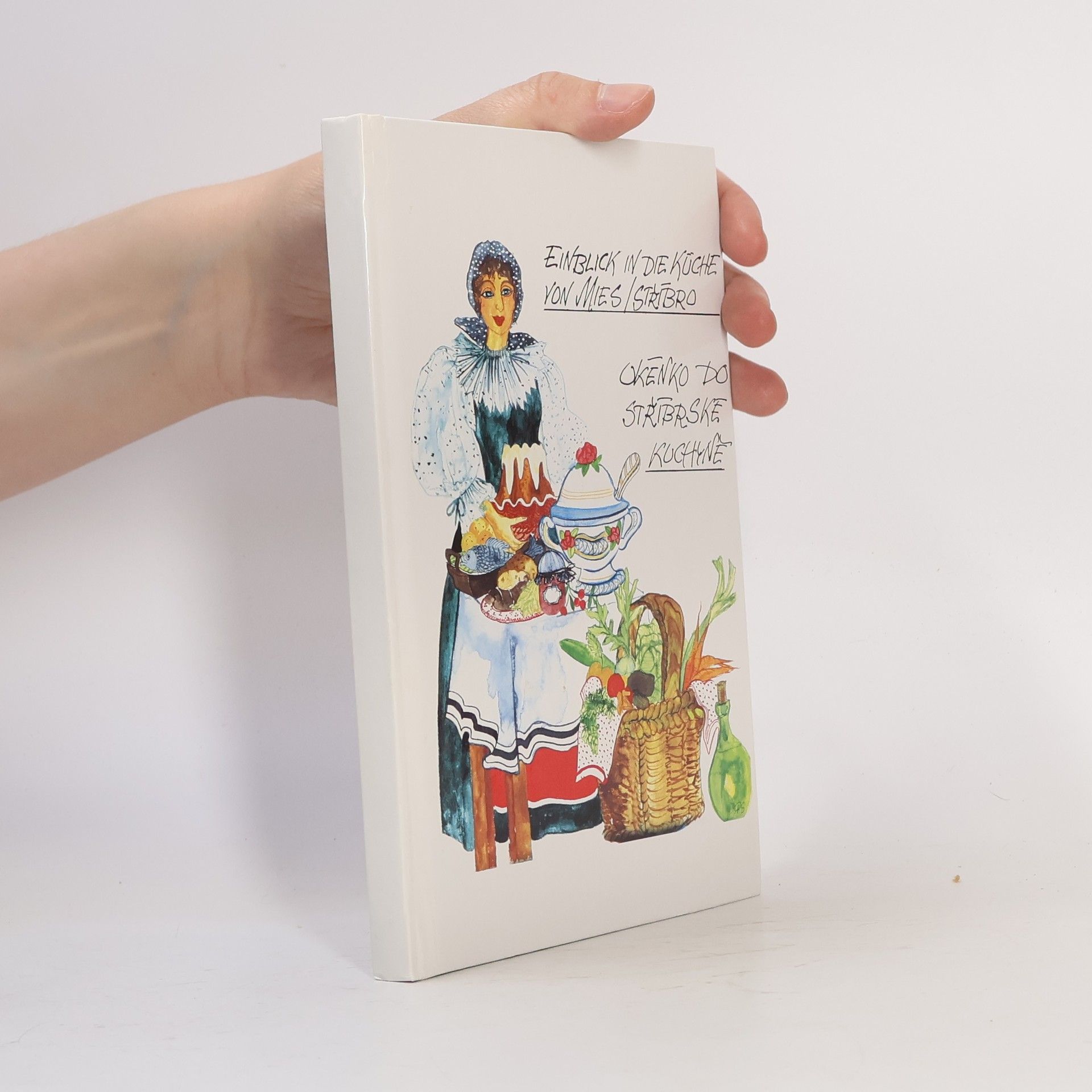 Milena Steinerová Einblick in die Küche von Mies, Stříbro