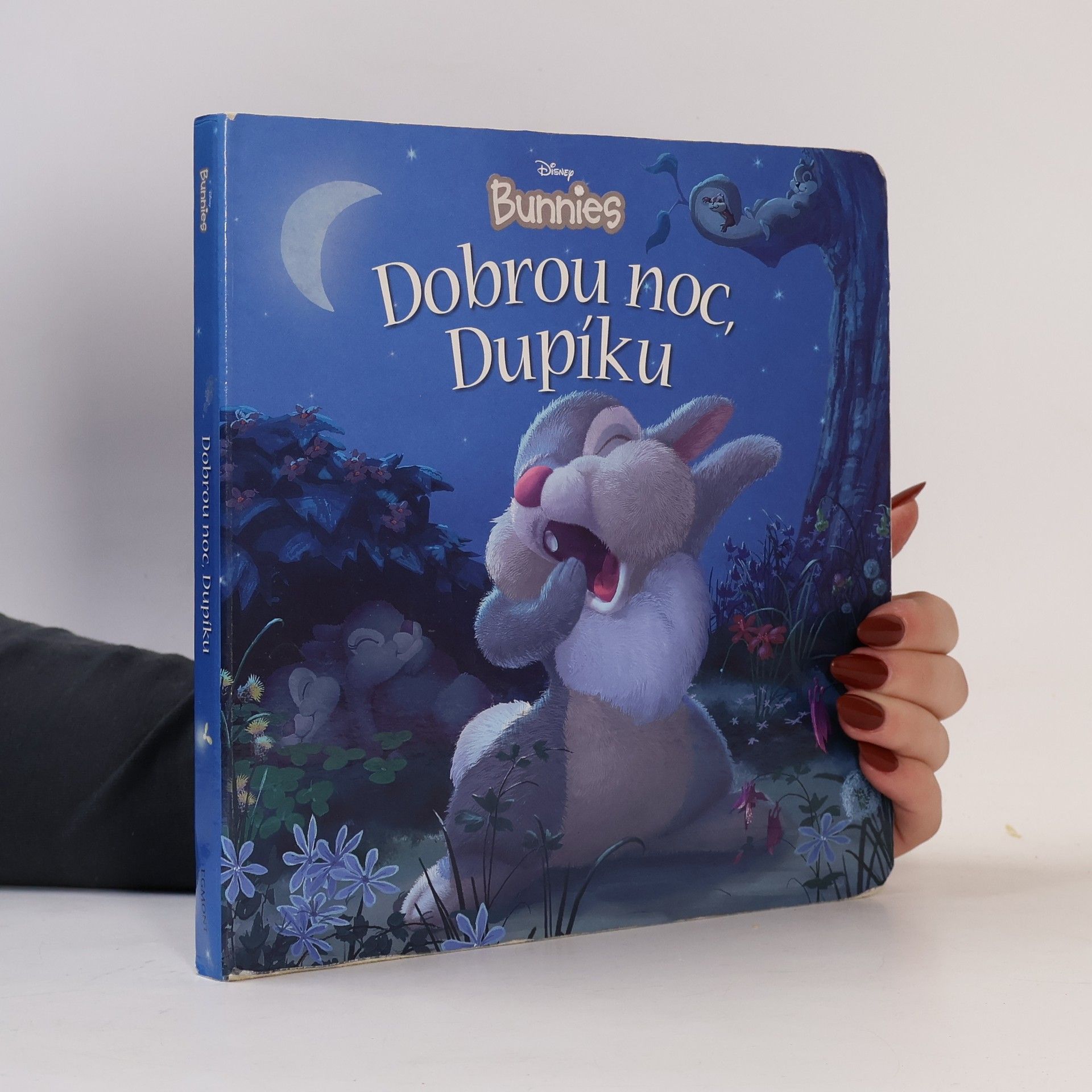 Kitty Richards Dobrou noc, Dupíku