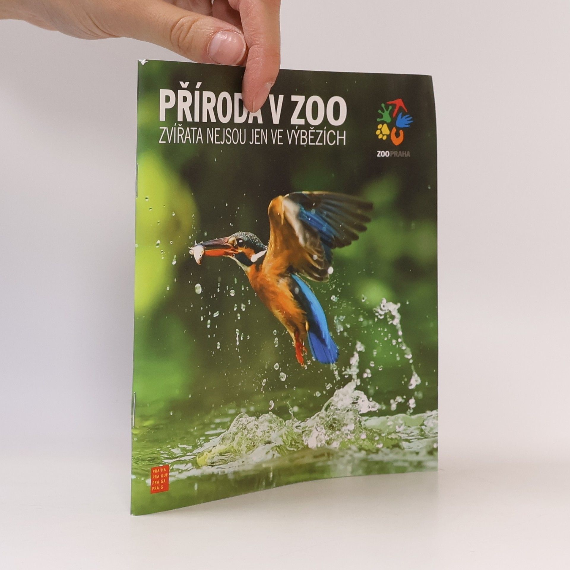 Kolektiv autorů Příroda v zoo - Zvířata nejsou jen ve výbězích