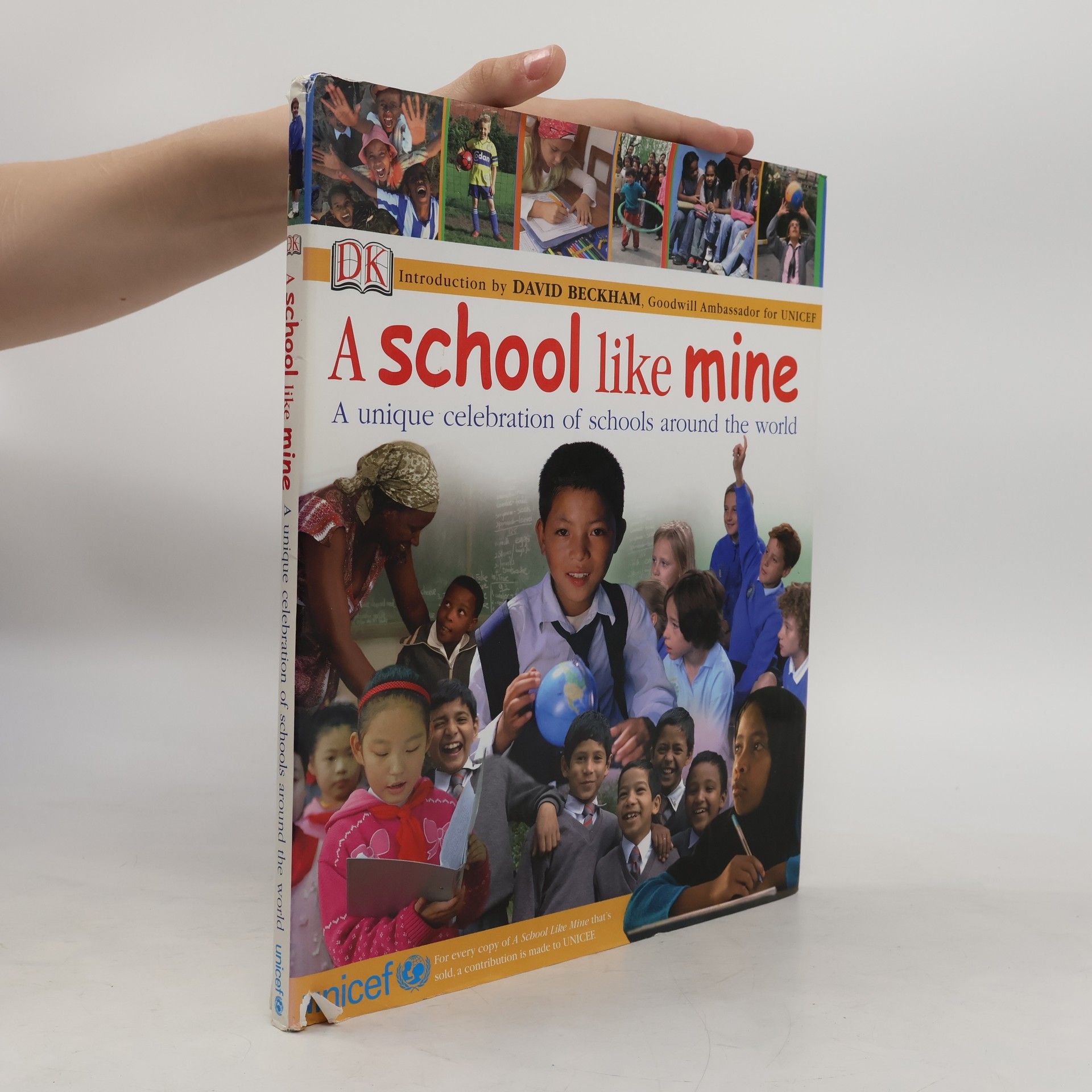 DK Publishing A School Like Mine