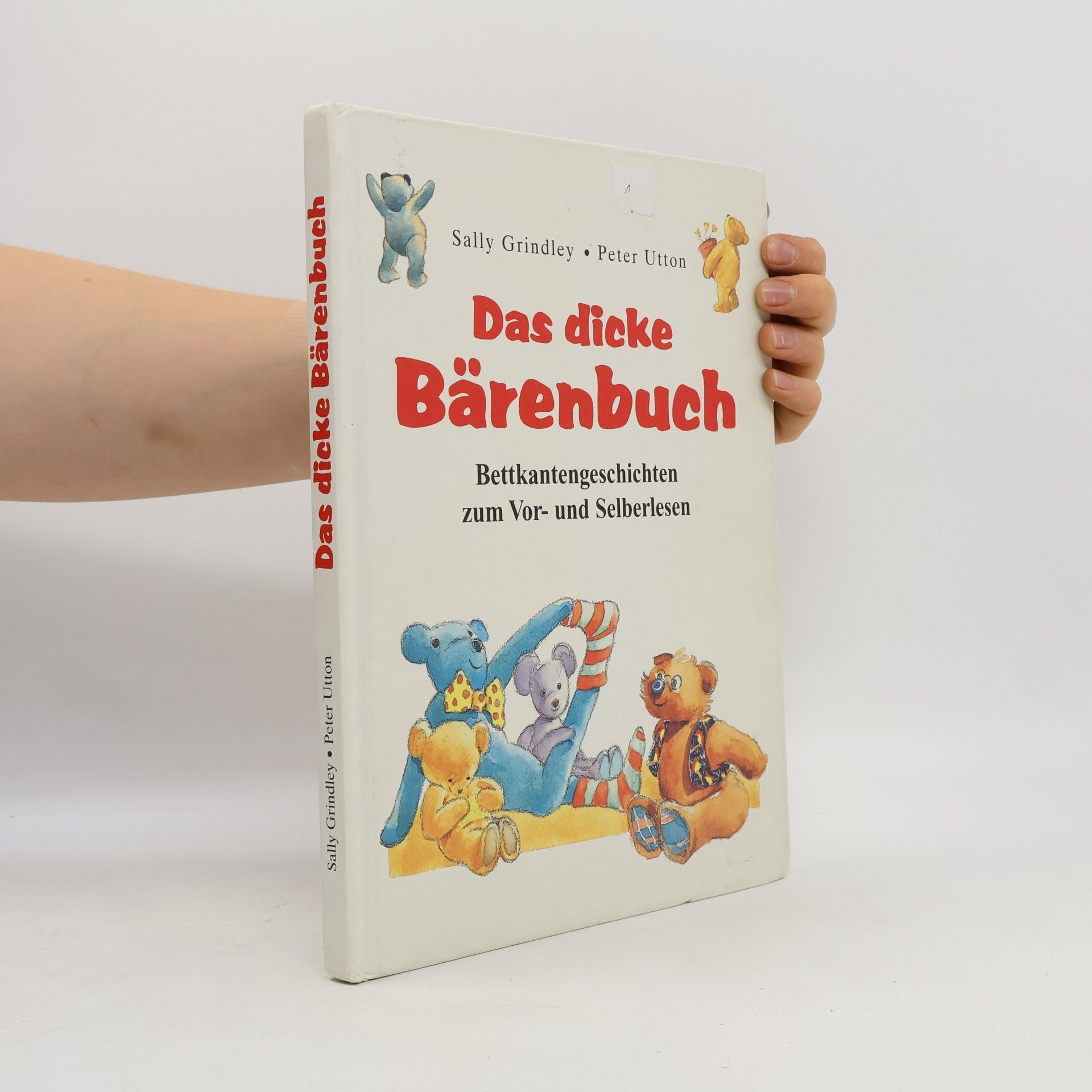 Sally Grindley Das dicke Bärenbuch