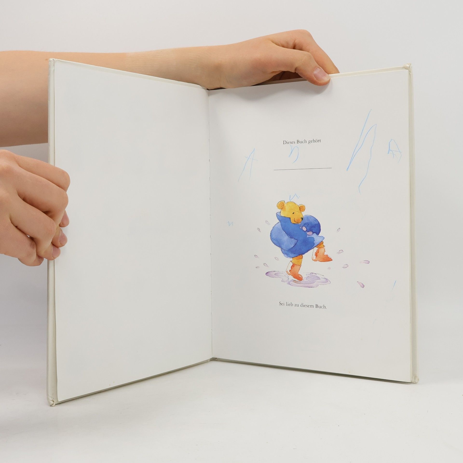 Sally Grindley Das dicke Bärenbuch