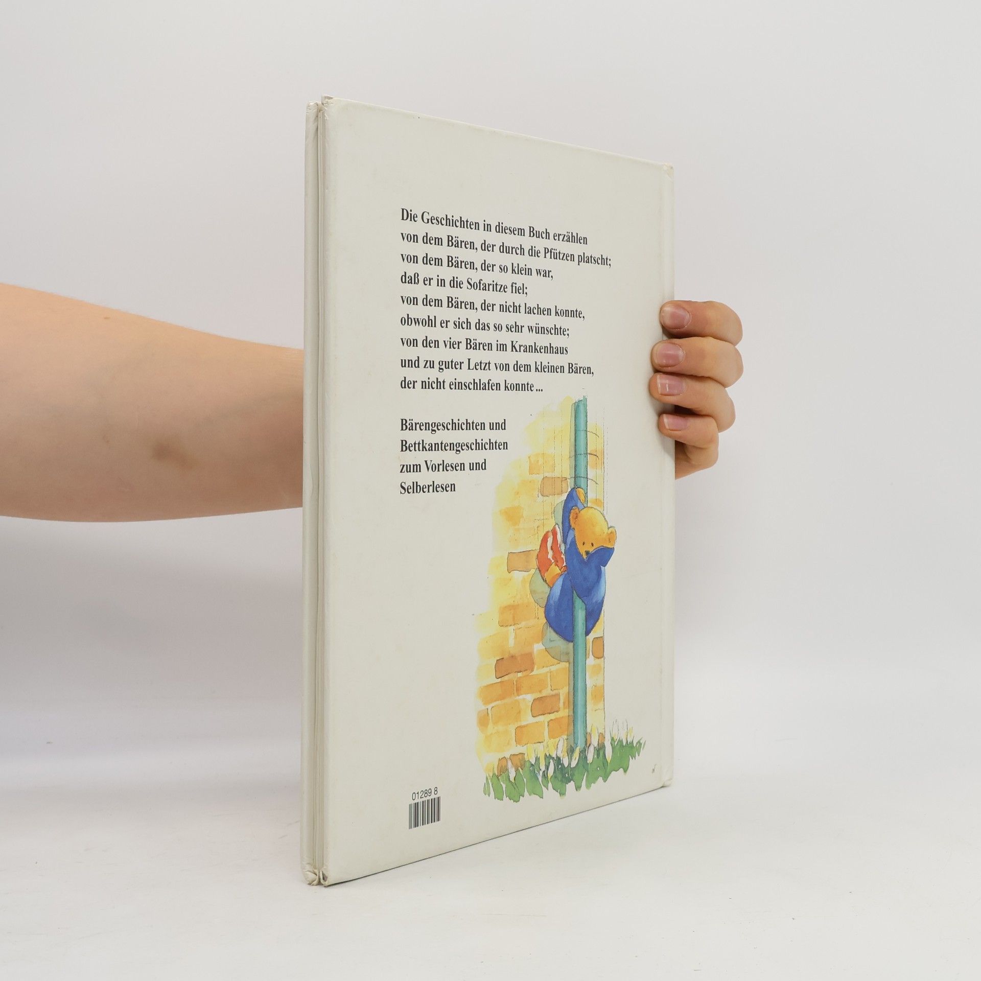Sally Grindley Das dicke Bärenbuch