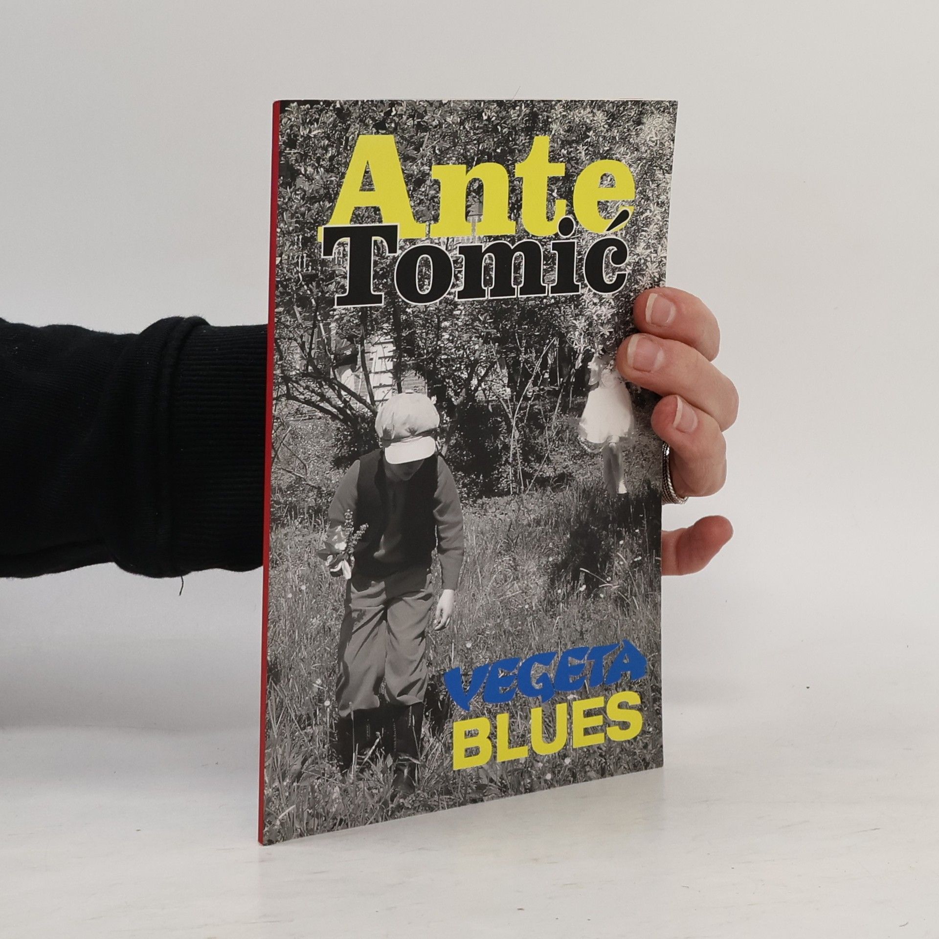 Ante Tomić Vegeta Blues