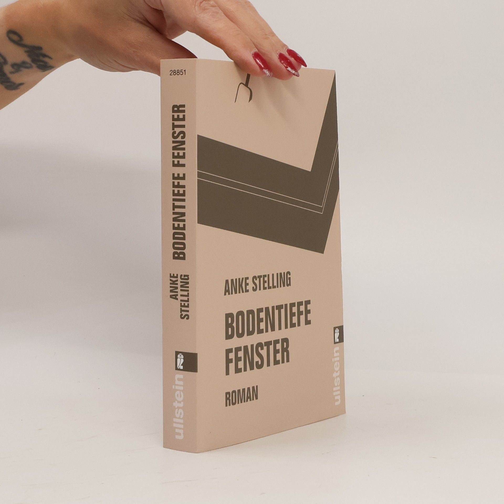 Anke Stelling Bodentiefe Fenster