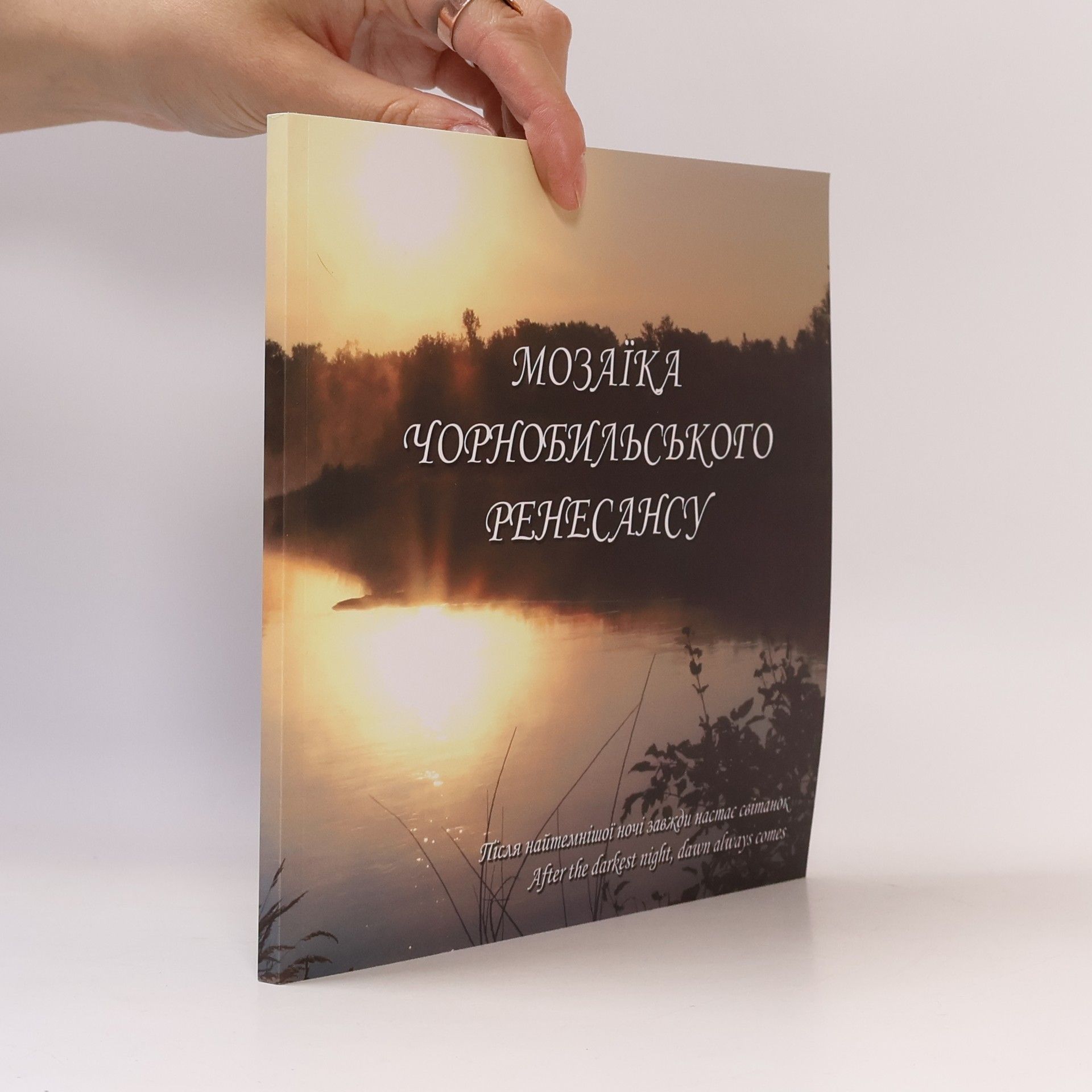 Autorenkollektiv Мозаїка Чорнобильського ренесансу