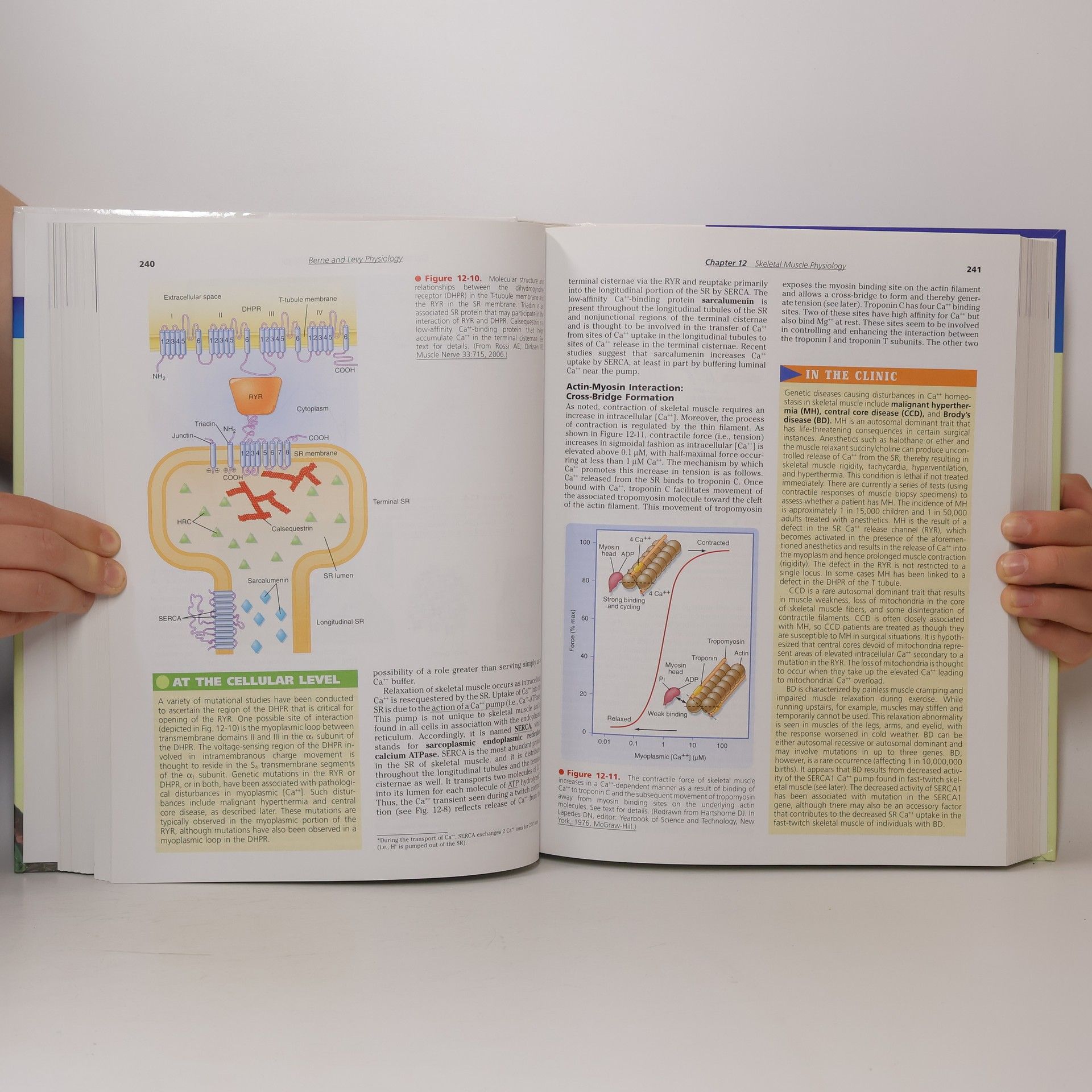 Robert M. Berne Berne & Levy Physiology