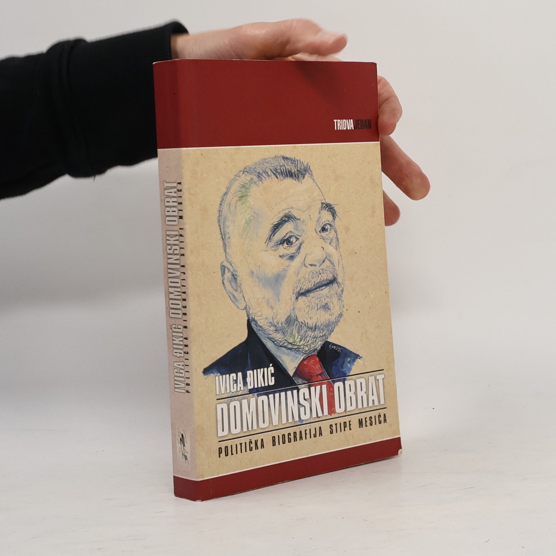 Ivica Đikić Domovinski obrat
