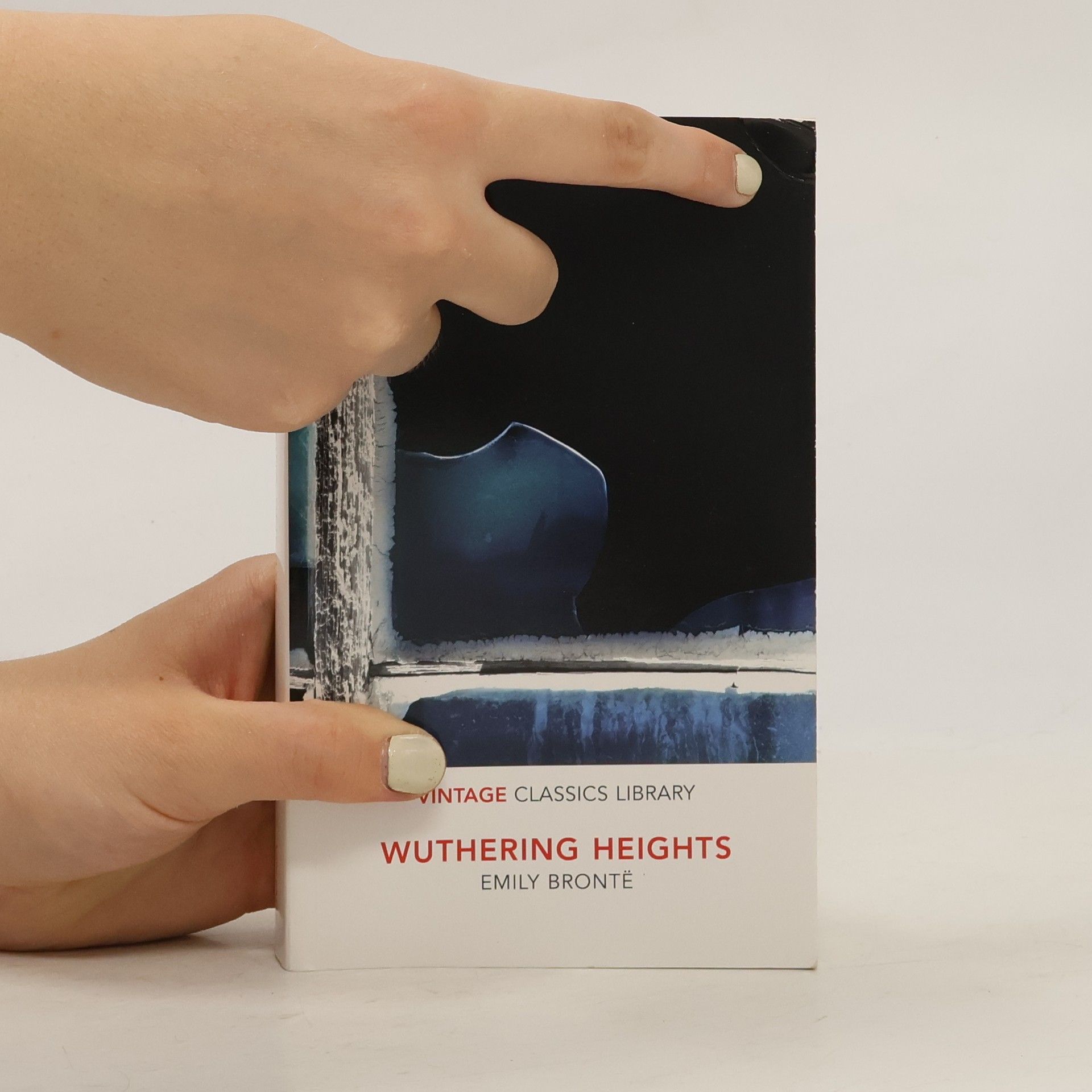 Emily Brontë Wuthering Heights