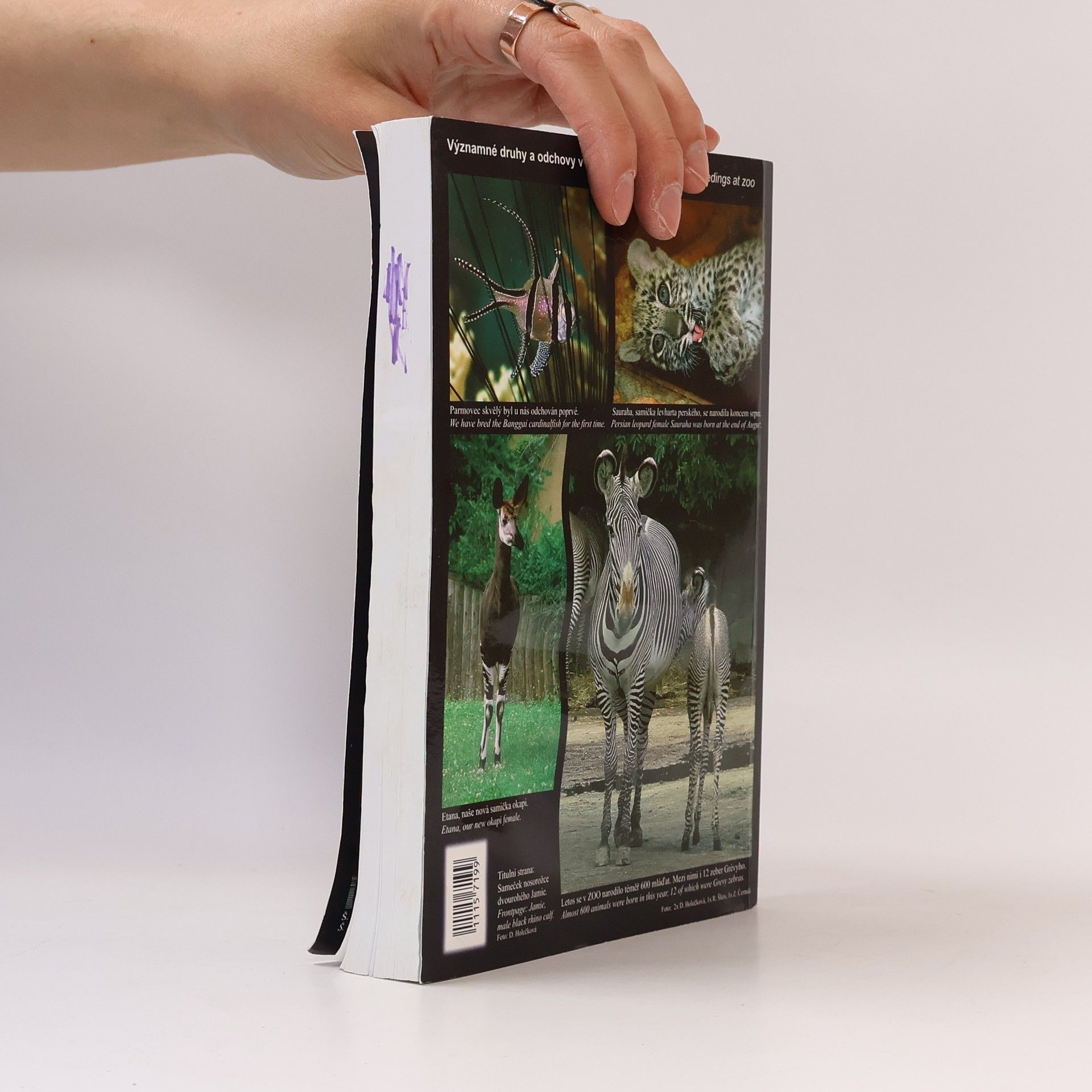 Kolektiv autorů Výroční zpráva Zoo Dvůr Králové 2006