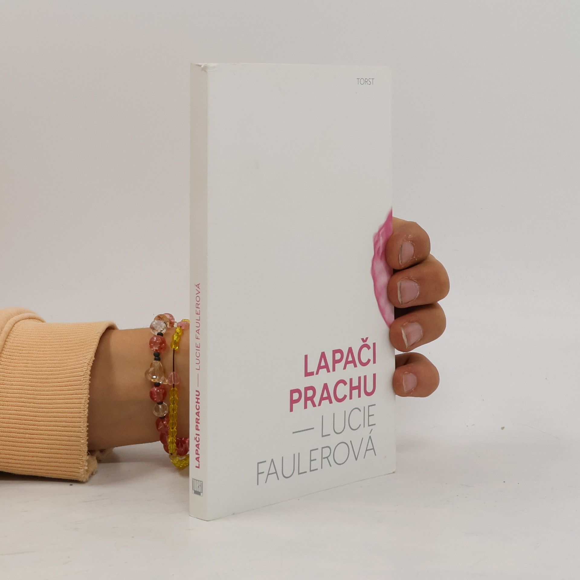 Lucie Faulerová Lapači prachu