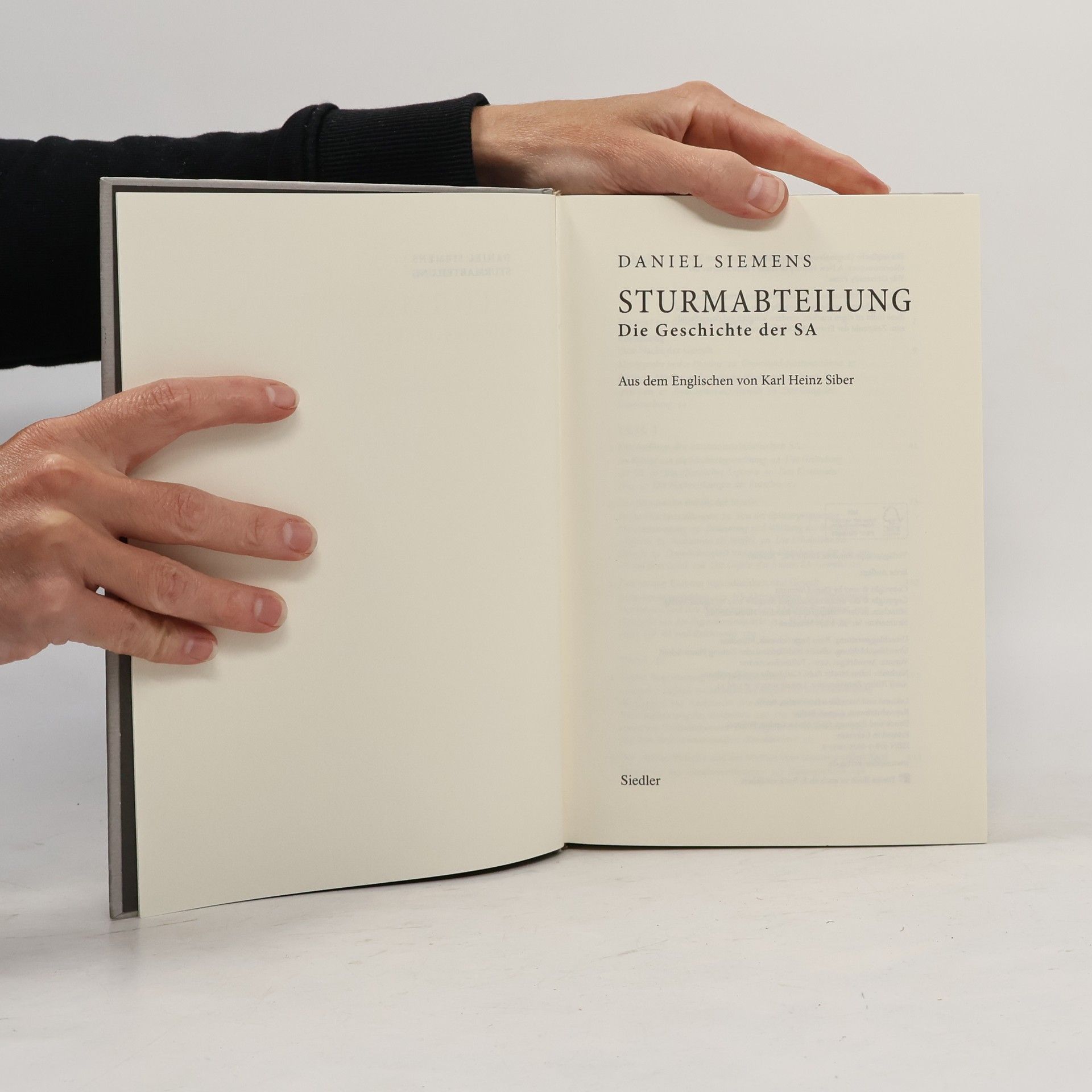 Daniel Siemens Sturmabteilung