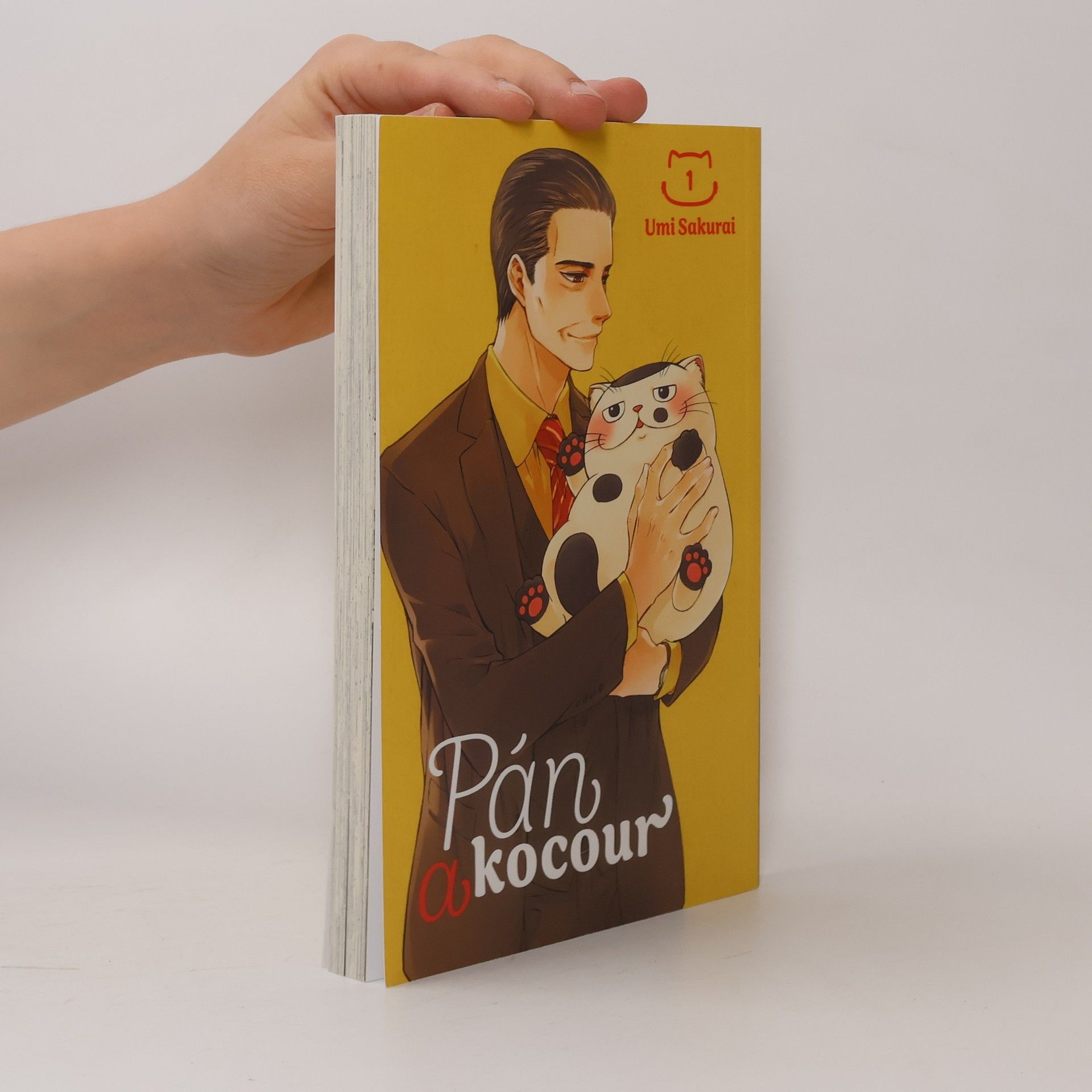 Umi Sakurai Pán a kocour 1