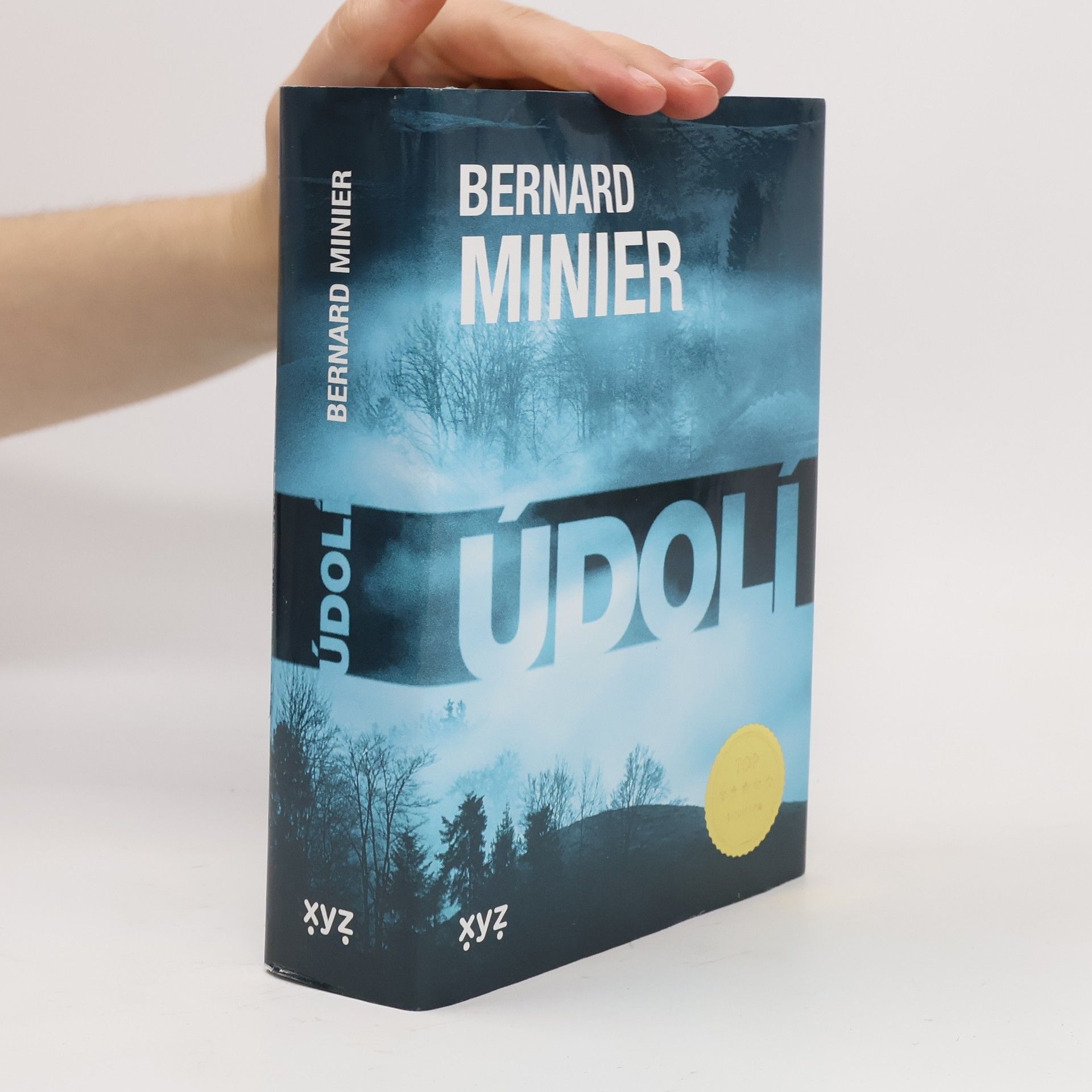 Bernard Minier Údolí