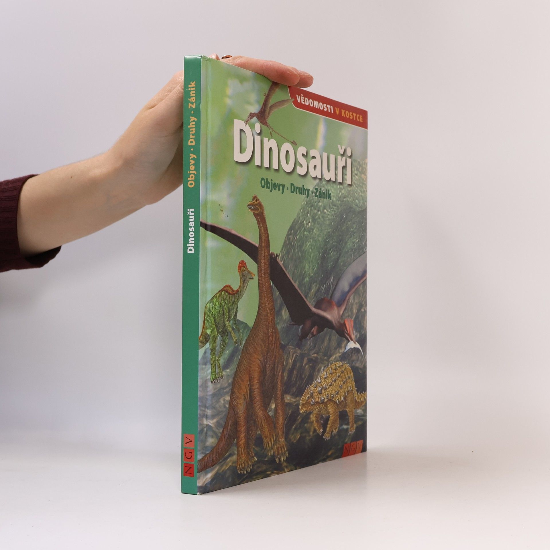 Kolektiv autorů Dinosauři