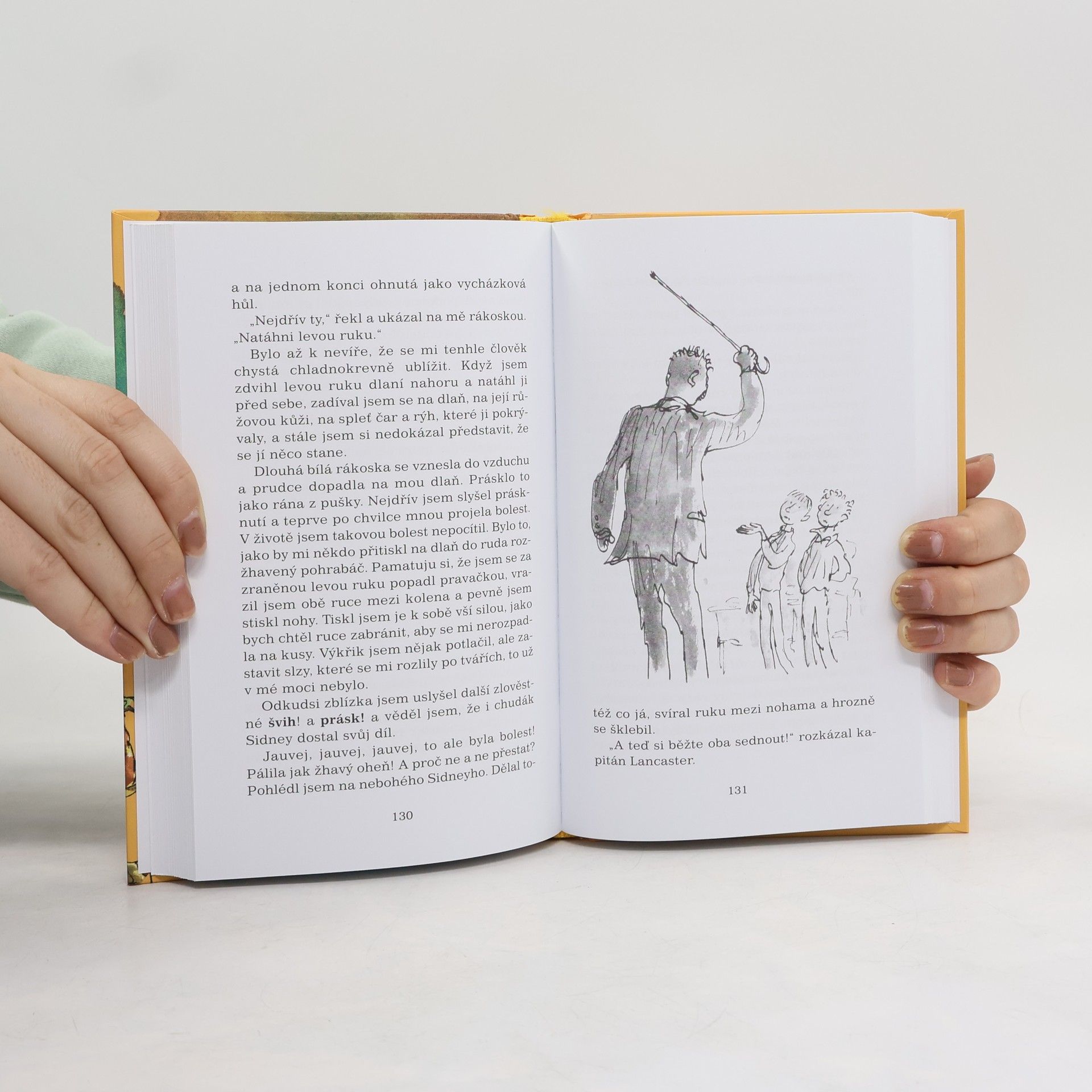 Roald Dahl Danny, mistr světa