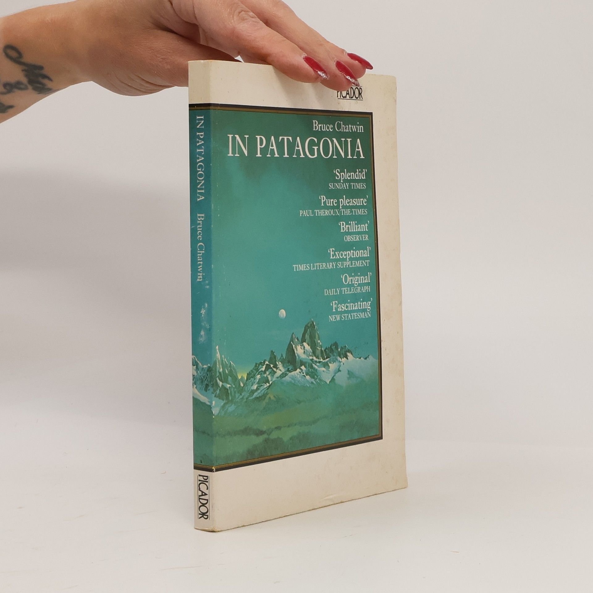 Bruce Chatwin In Patagonia