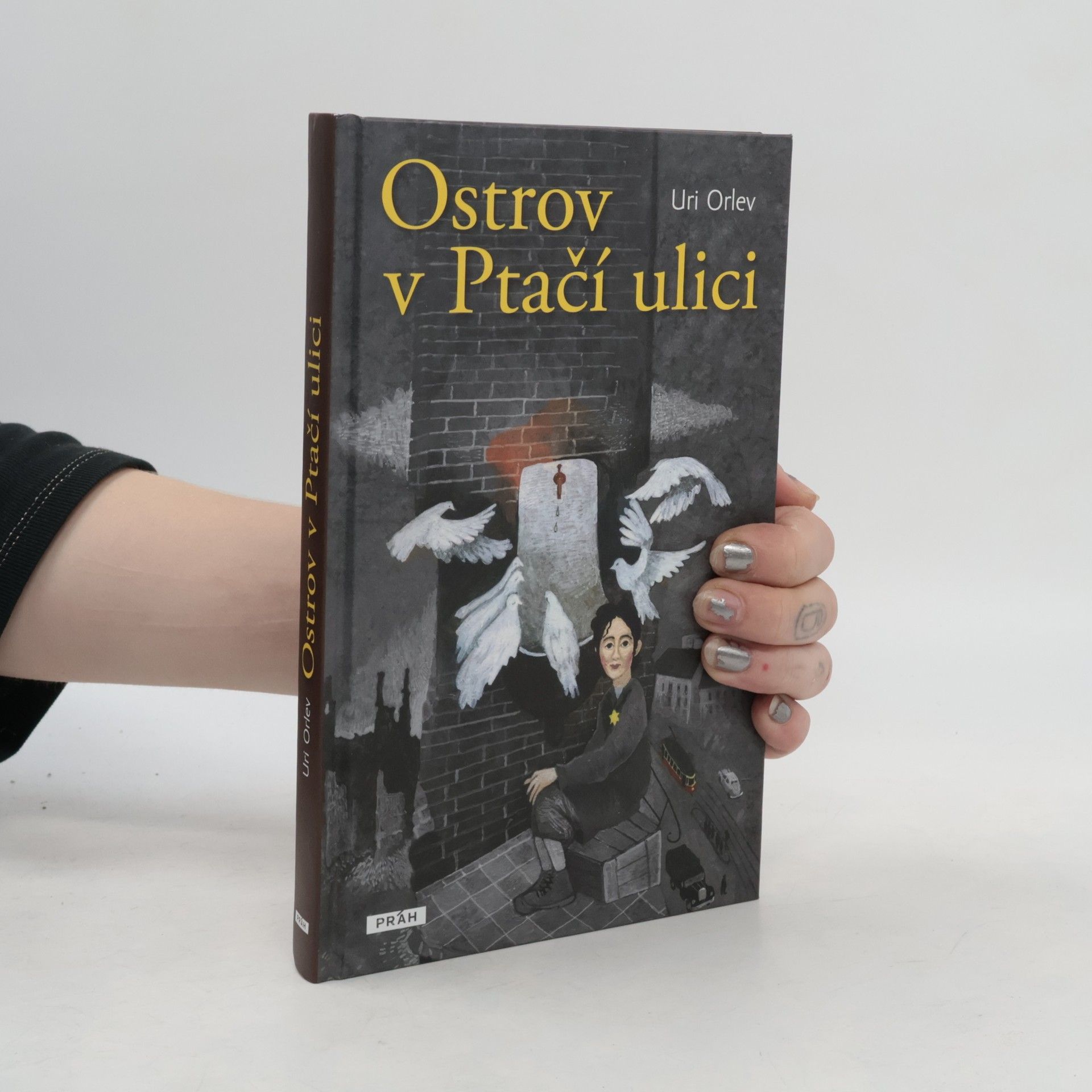 Uri Orlev Ostrov v Ptačí ulici