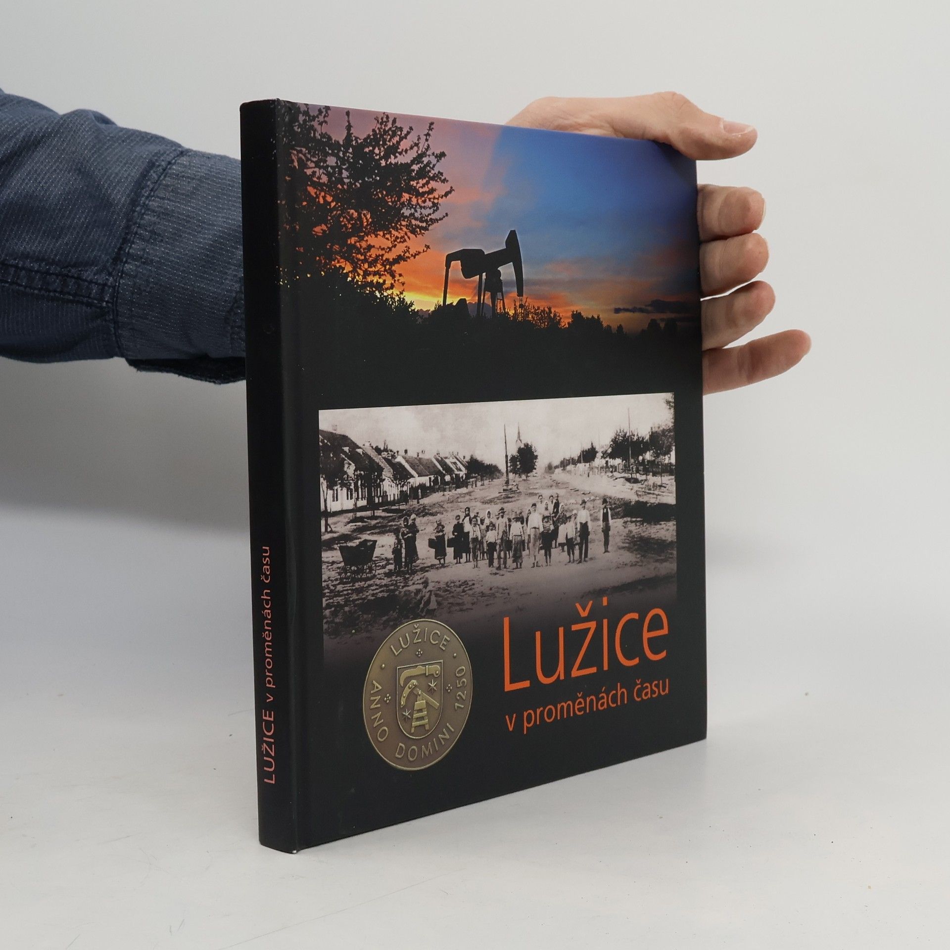 Kolektiv autorů Lužice v proměnách času
