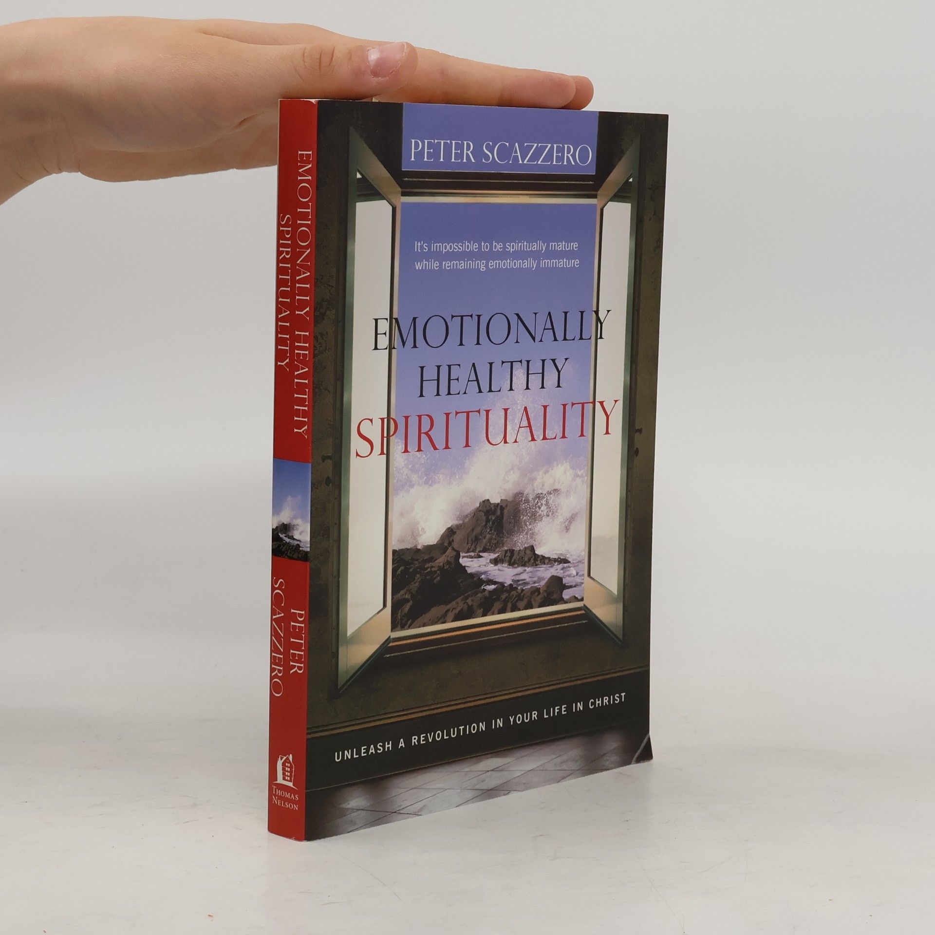 Peter Scazzero Emotionally Healthy Spirituality