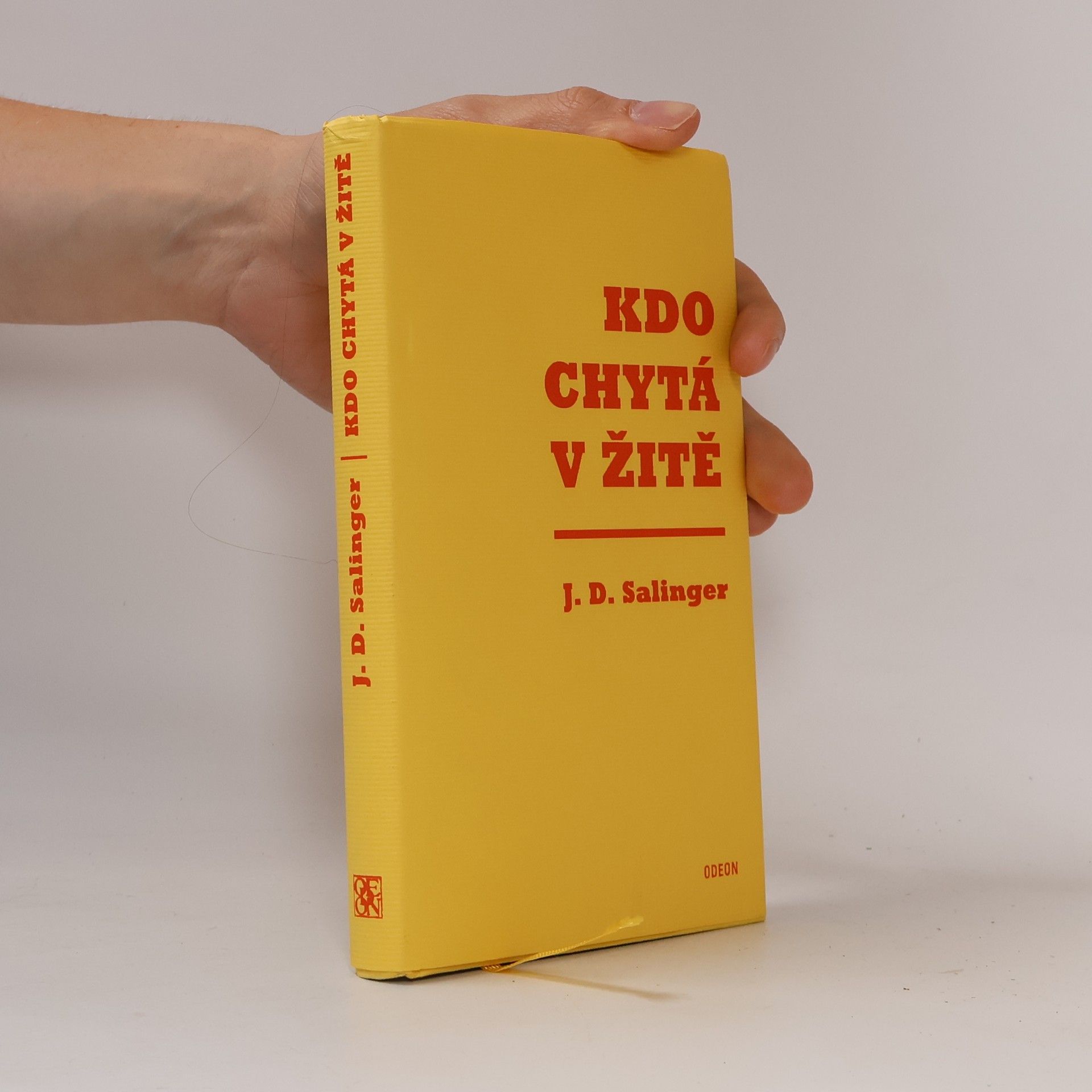 J. D. Salinger Kdo chytá v žitě
