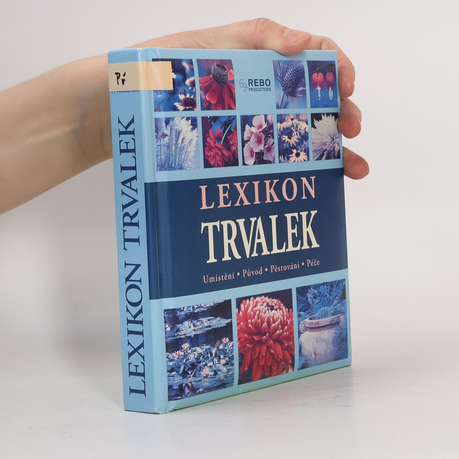 Andrea Rausch Lexikon trvalek : umístění, původ, pěstování, péče