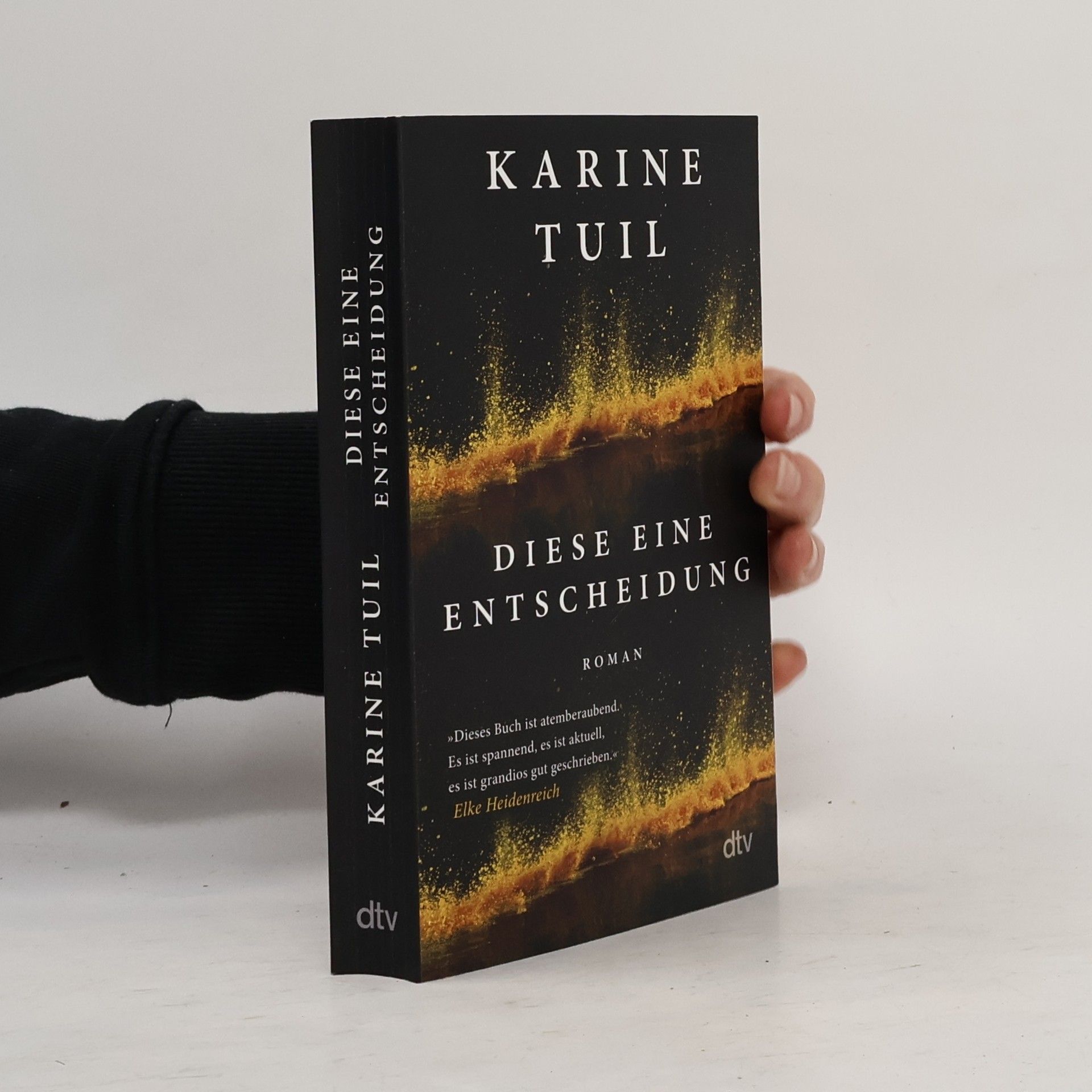 Karine Tuil Diese eine Entscheidung