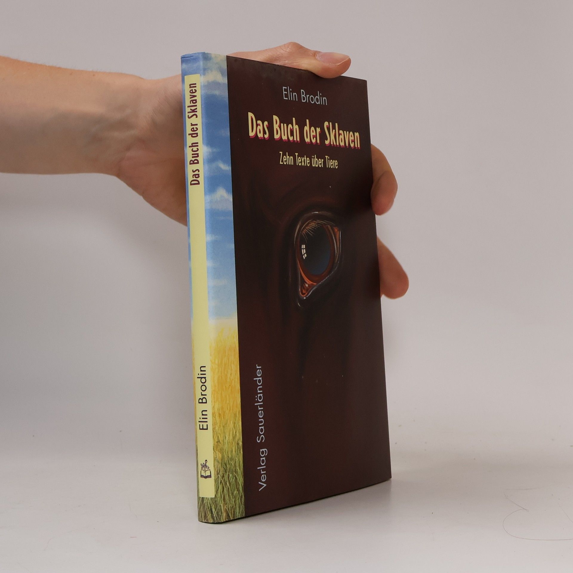 Elin Brodin Das Buch der Sklaven