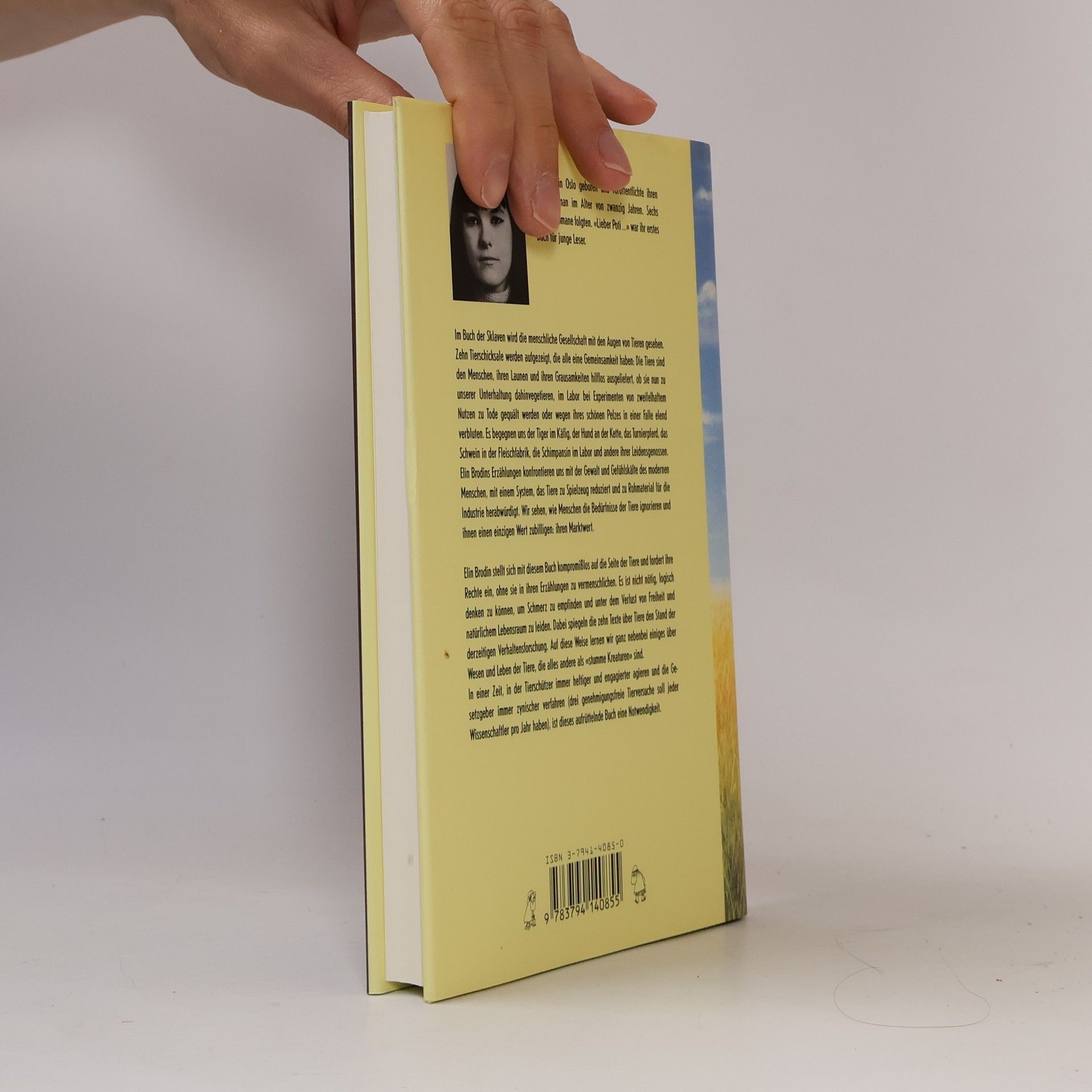 Elin Brodin Das Buch der Sklaven
