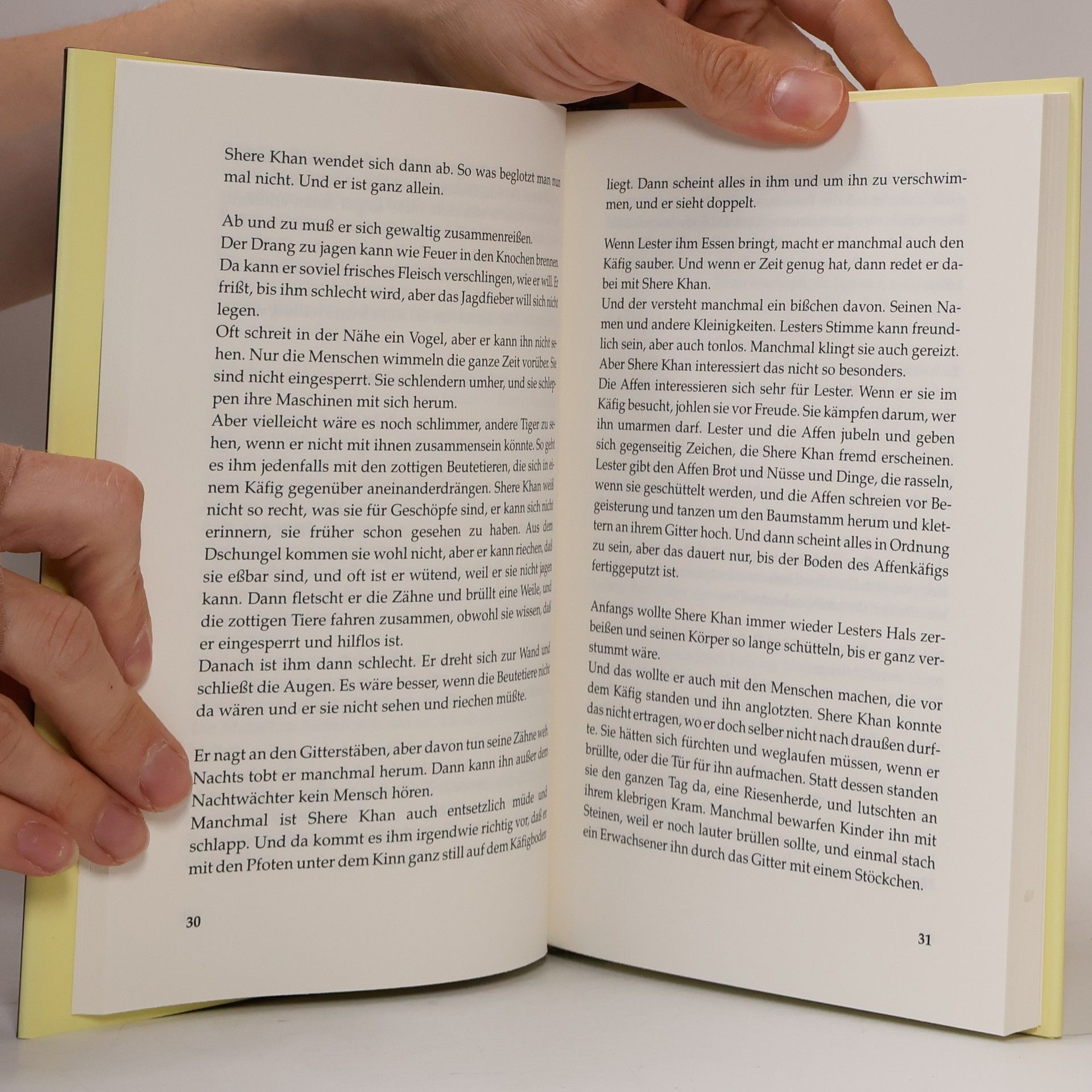 Elin Brodin Das Buch der Sklaven