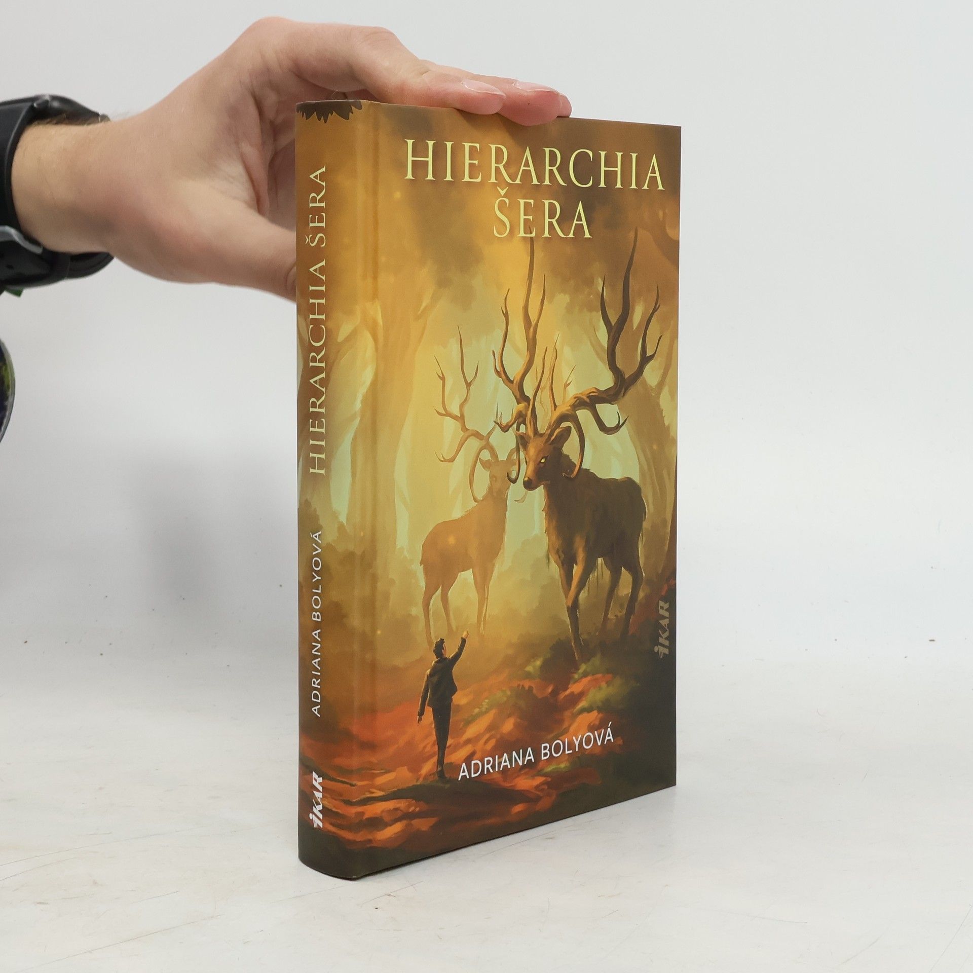 Hierarchia šera