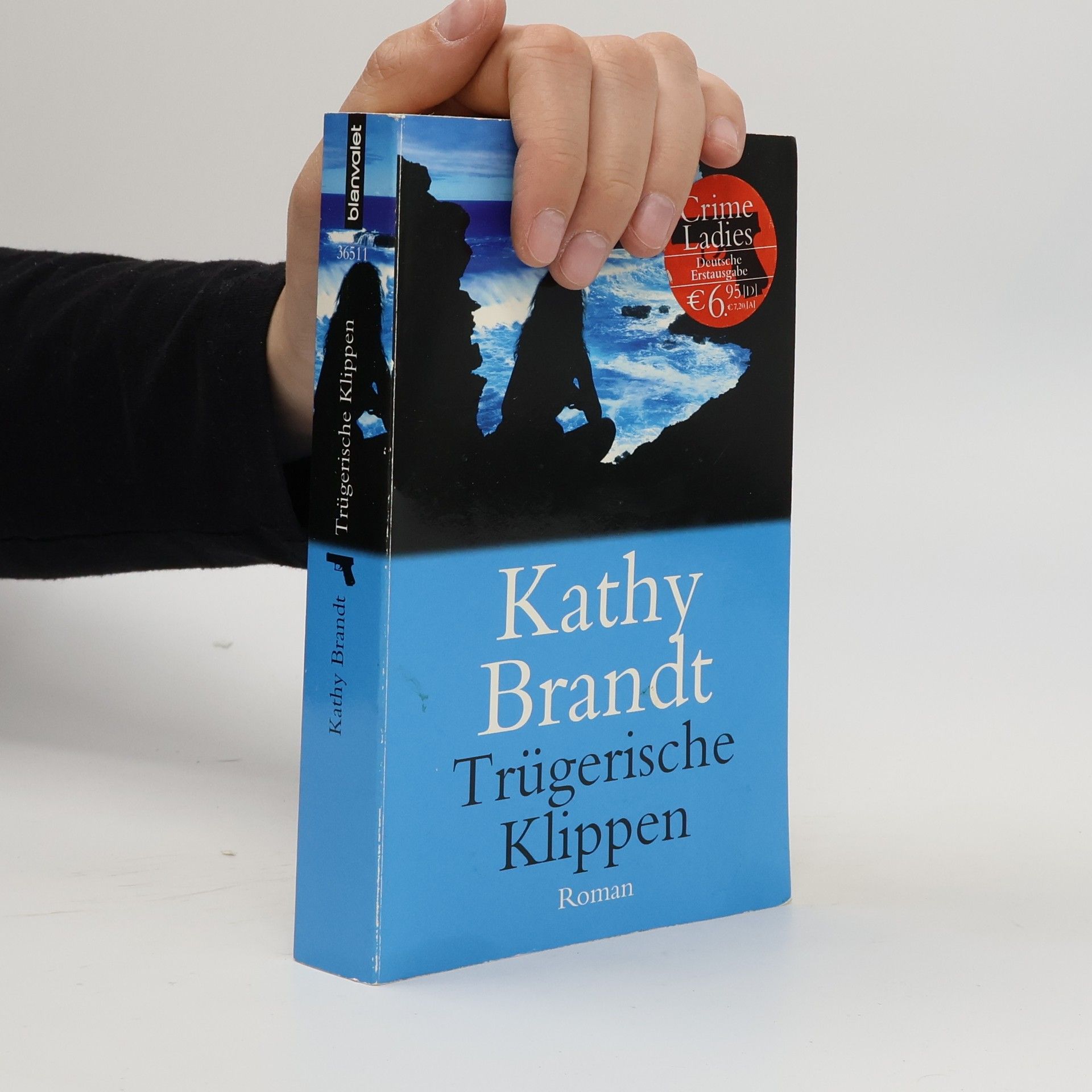 Kathy Brandt Trügerische Klippen