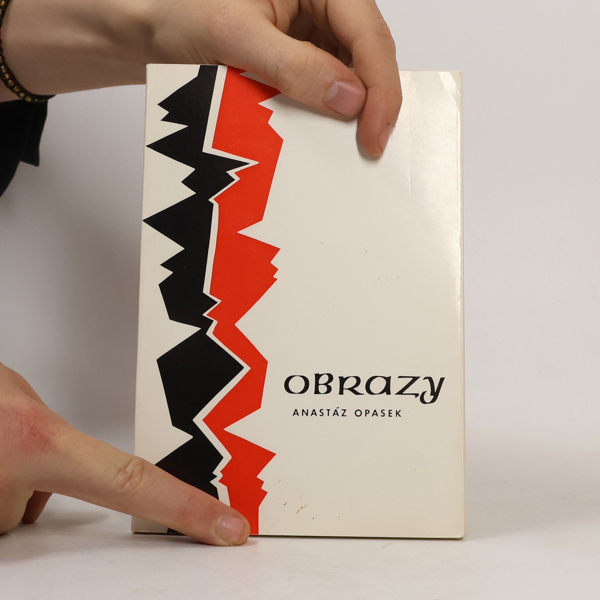 Jan Anastáz Opasek Obrazy
