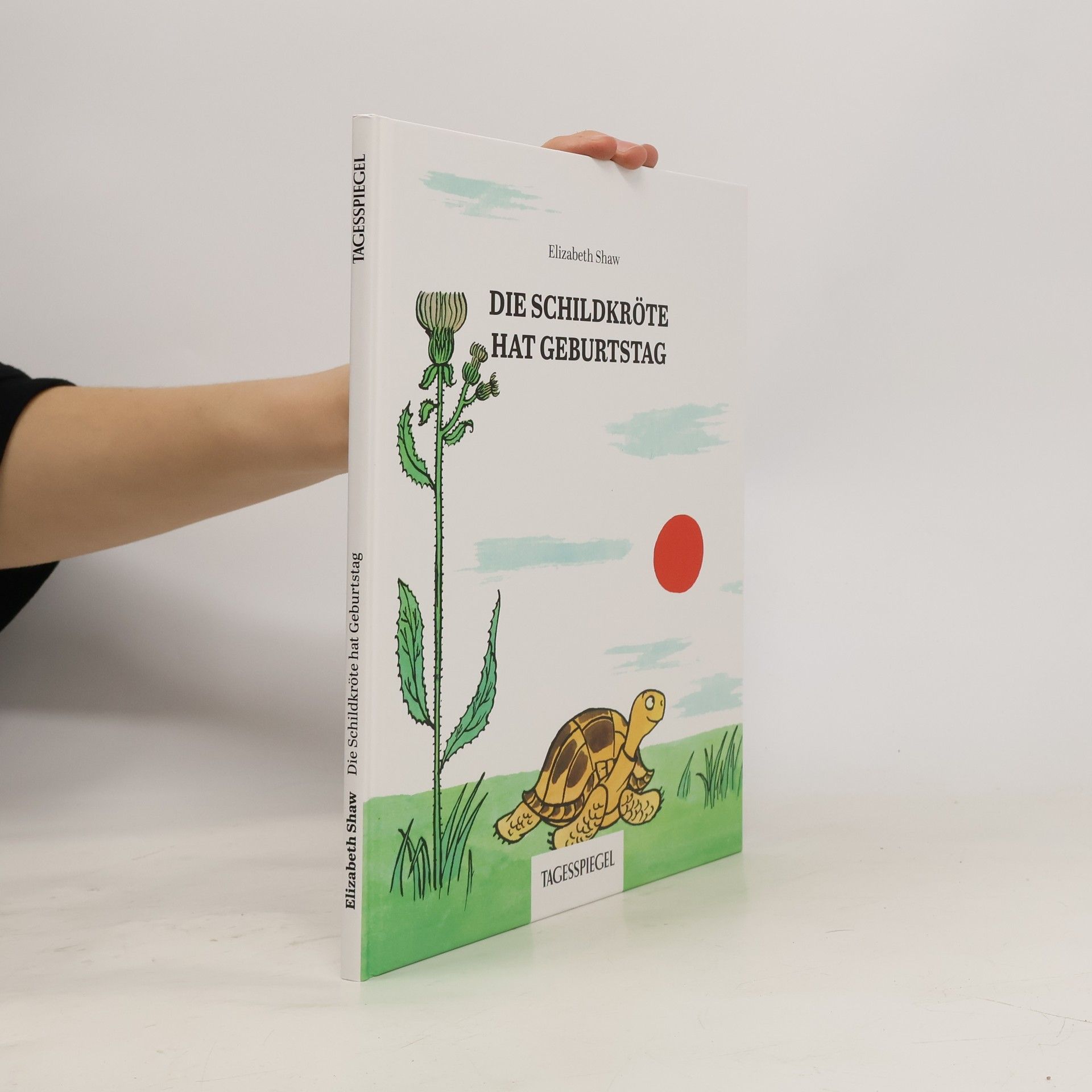 Autorenkollektiv Die Schildkröte hat Geburtstag